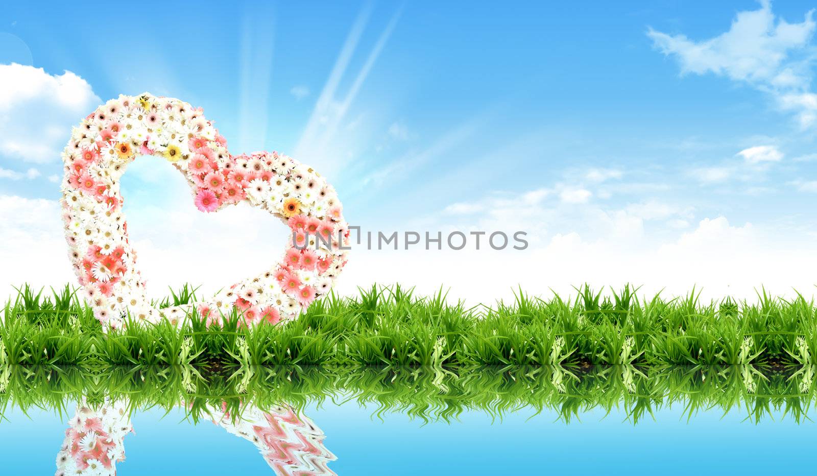 Floral heart on the grass with the bright sky
