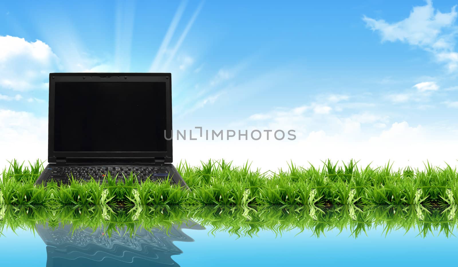 laptop on the grass with the bright sky