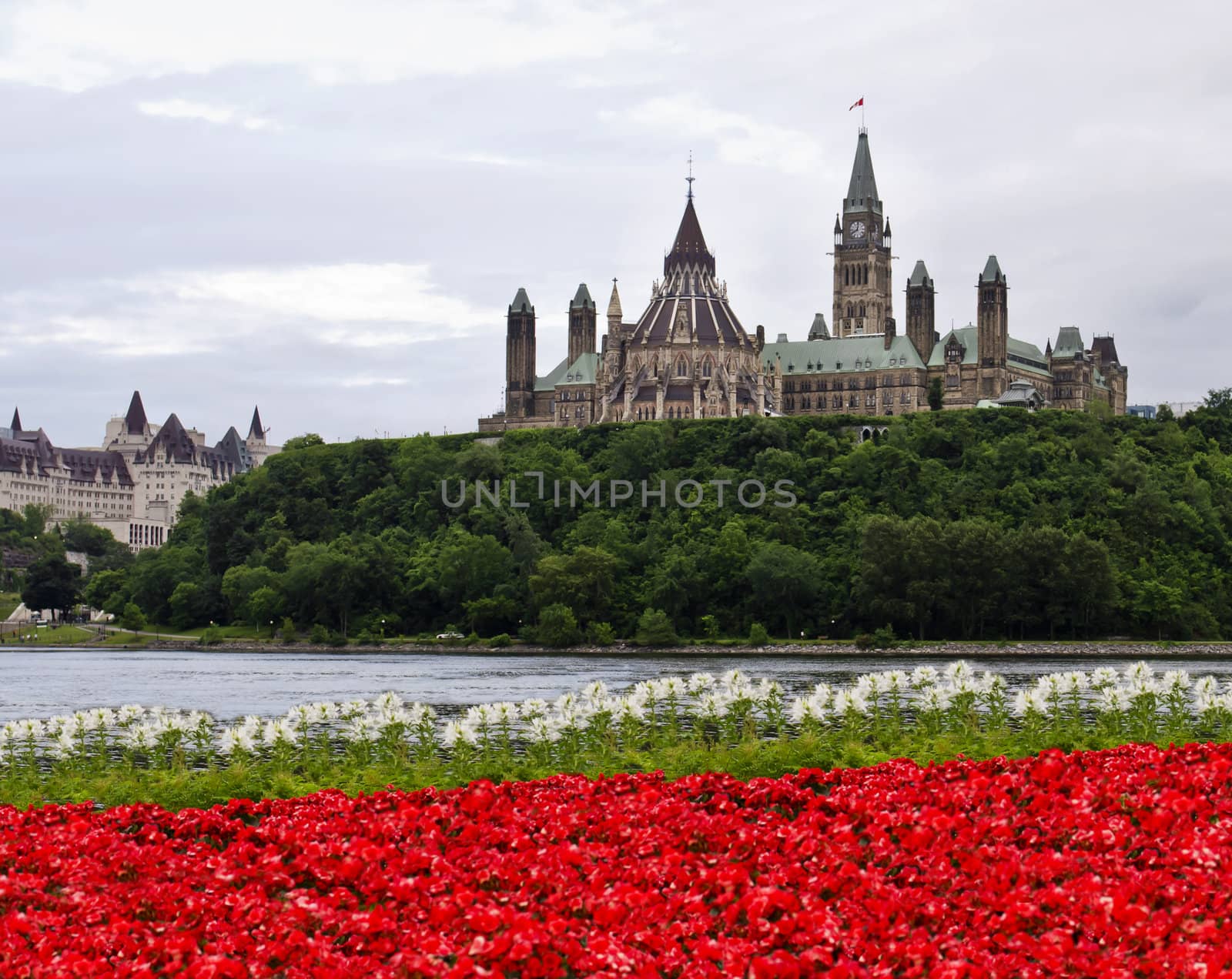 The Canadian Parliament with red and white flowers across the river in Gatineau.