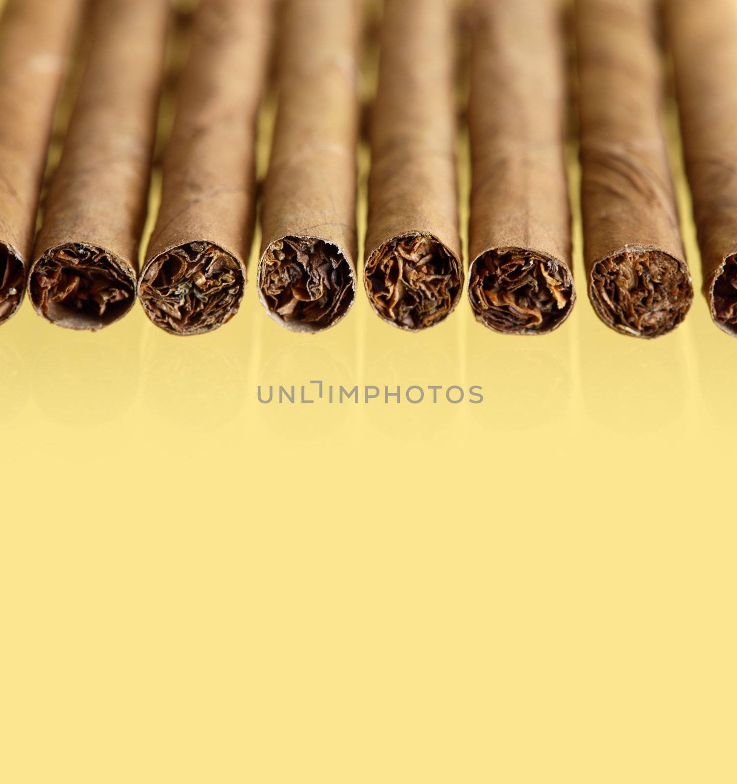 Cigars On Yellow by kvkirillov