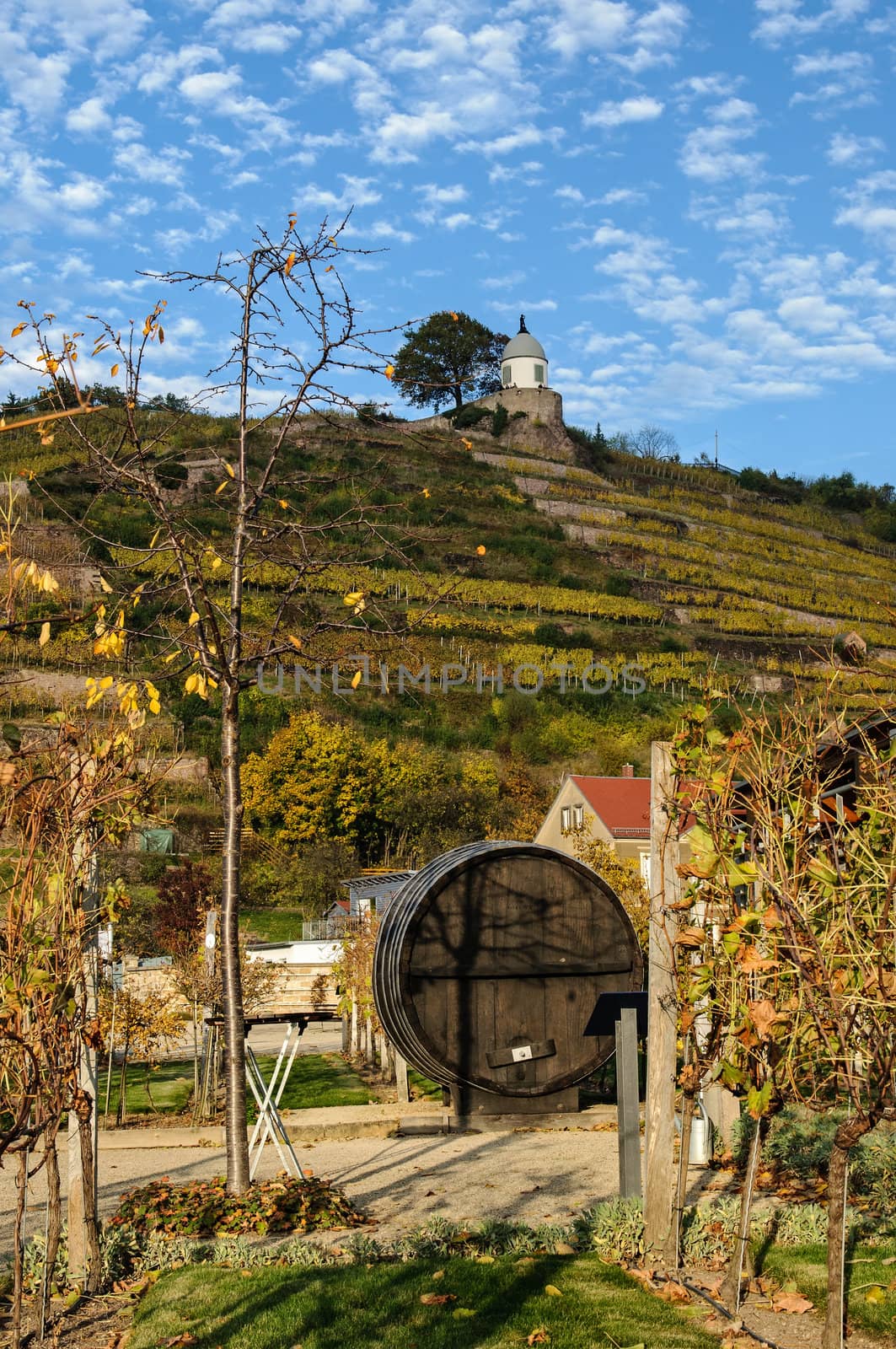 Landscape Radebeul's country by francescobencivenga