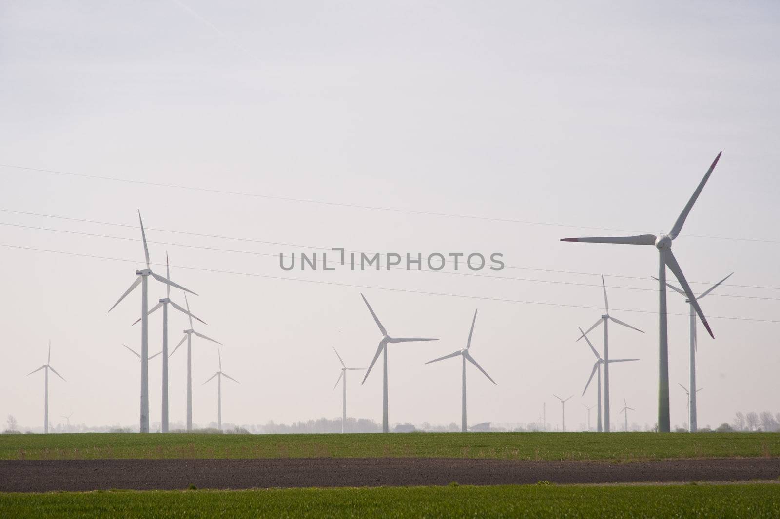 Wind generators in northern Germany