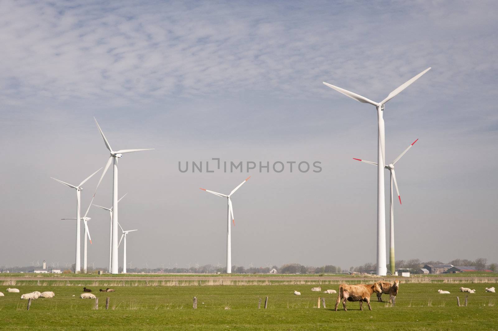 Wind generators in northern Germany