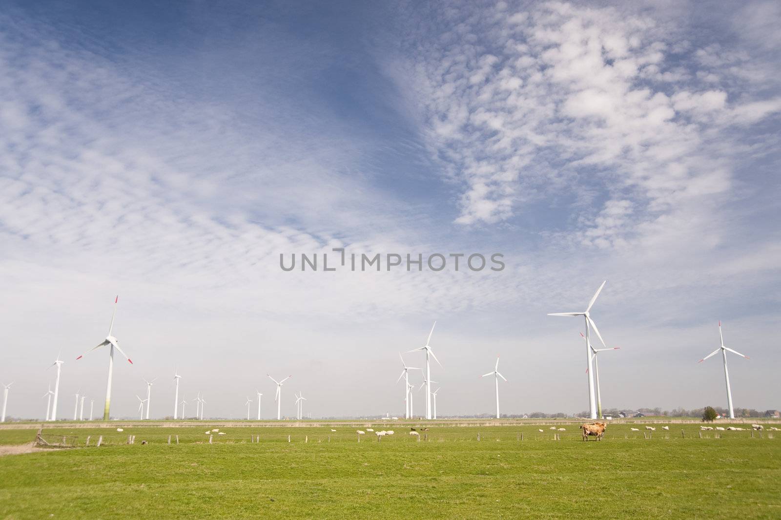 Wind generators in northern Germany