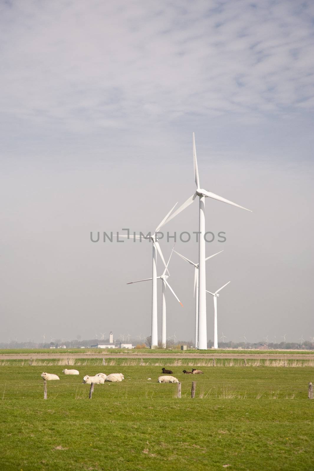 Wind generators in northern Germany