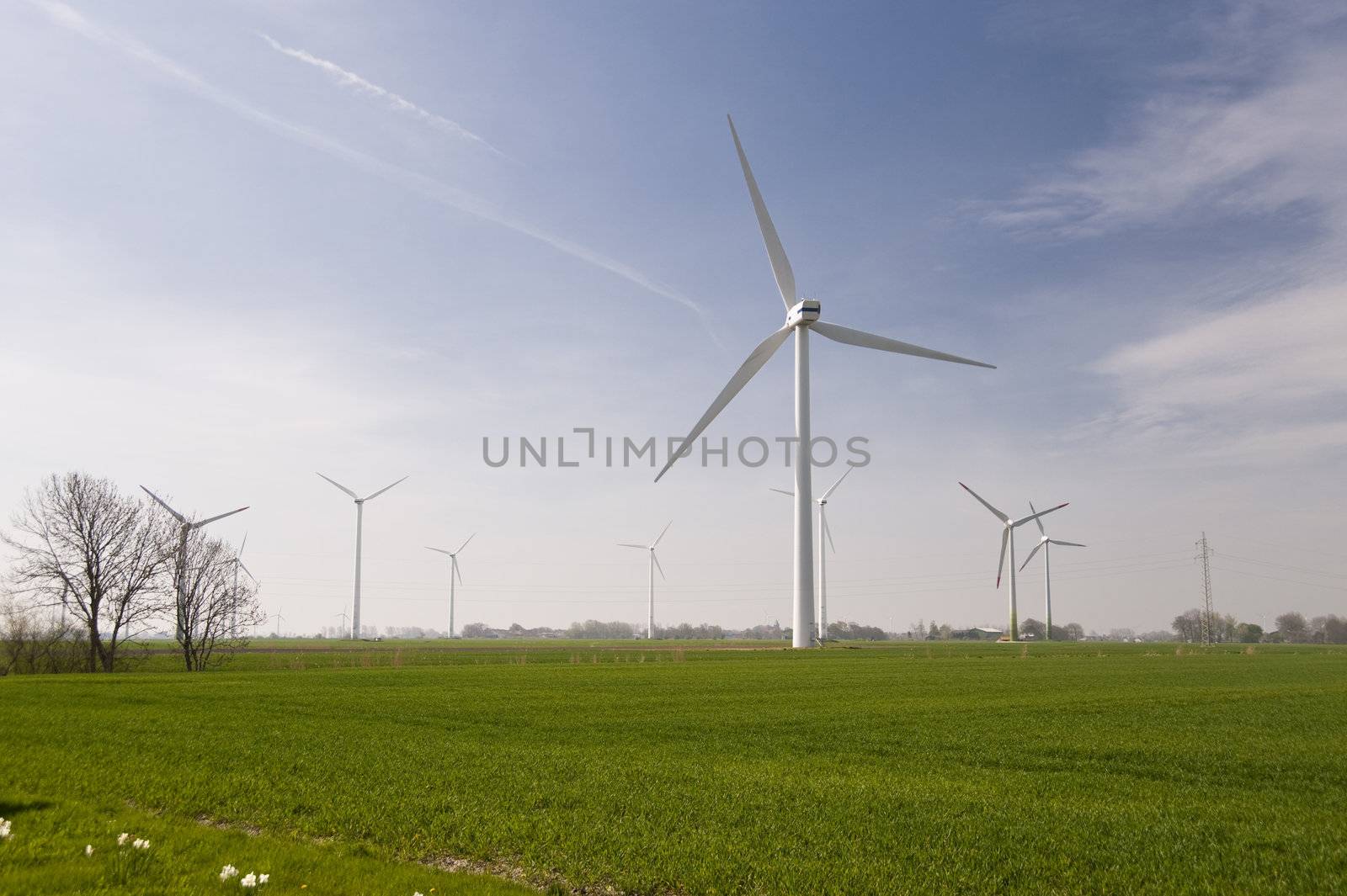 Wind generators in northern Germany