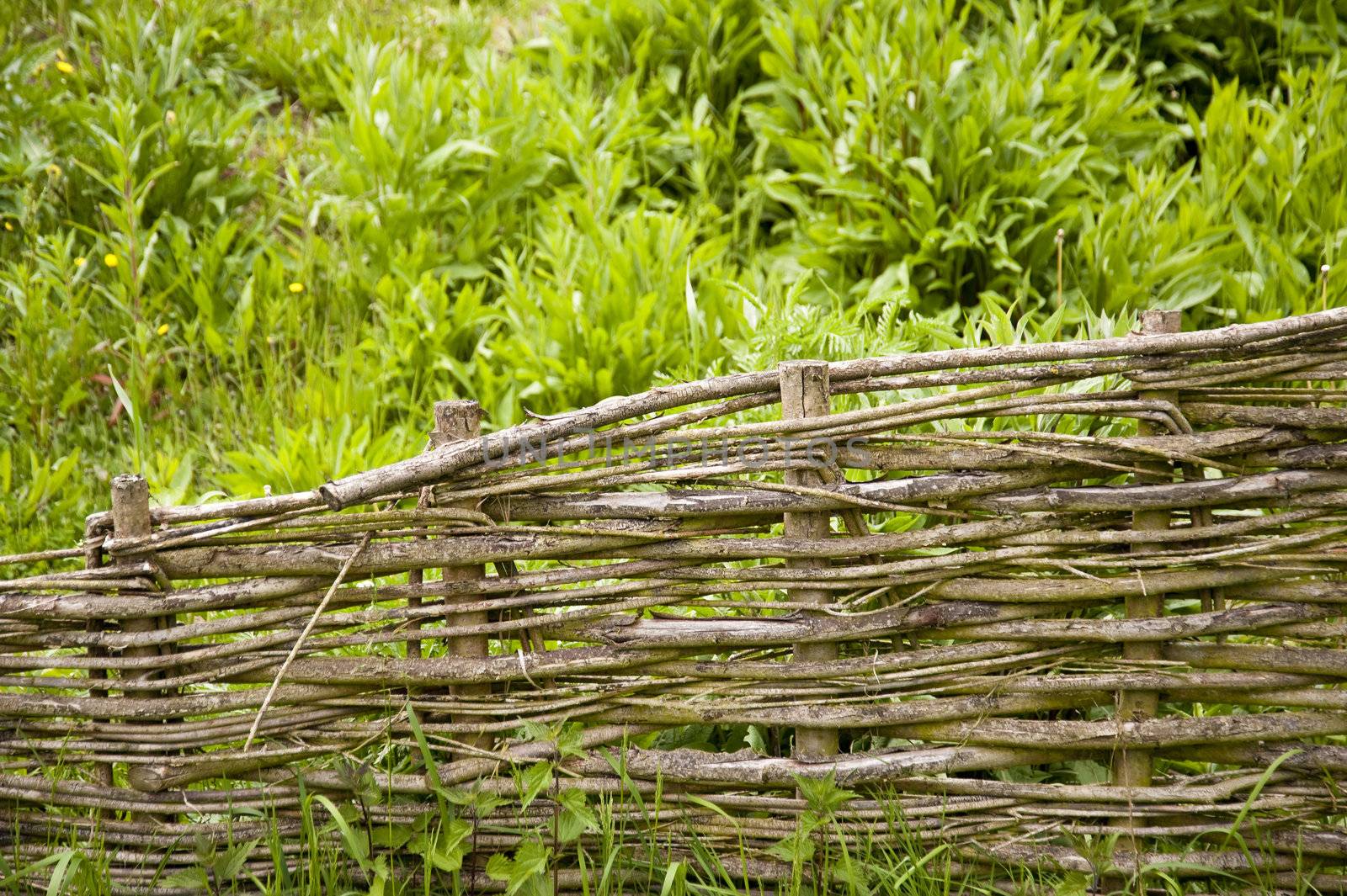 Old Garden