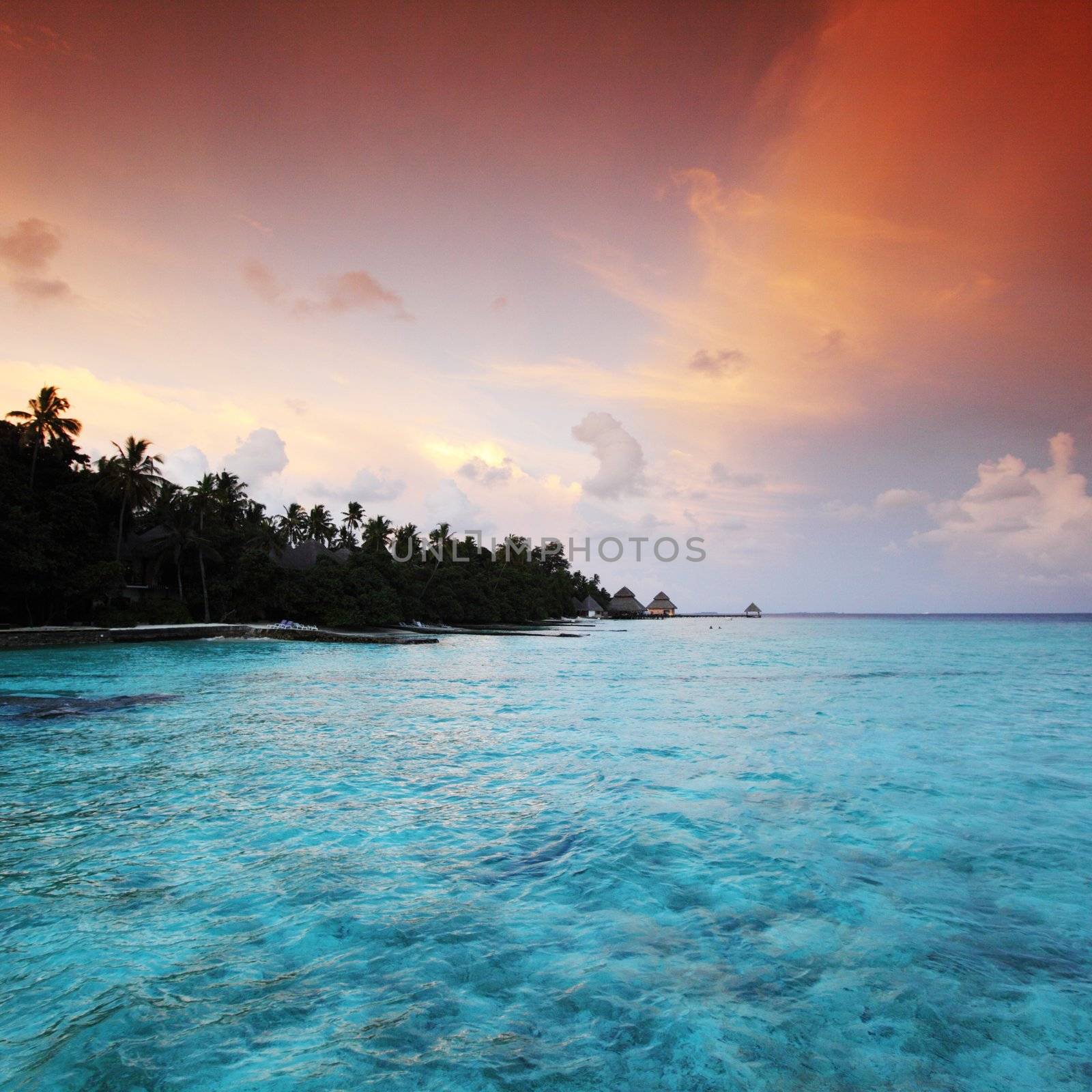 sunset on the sea beach