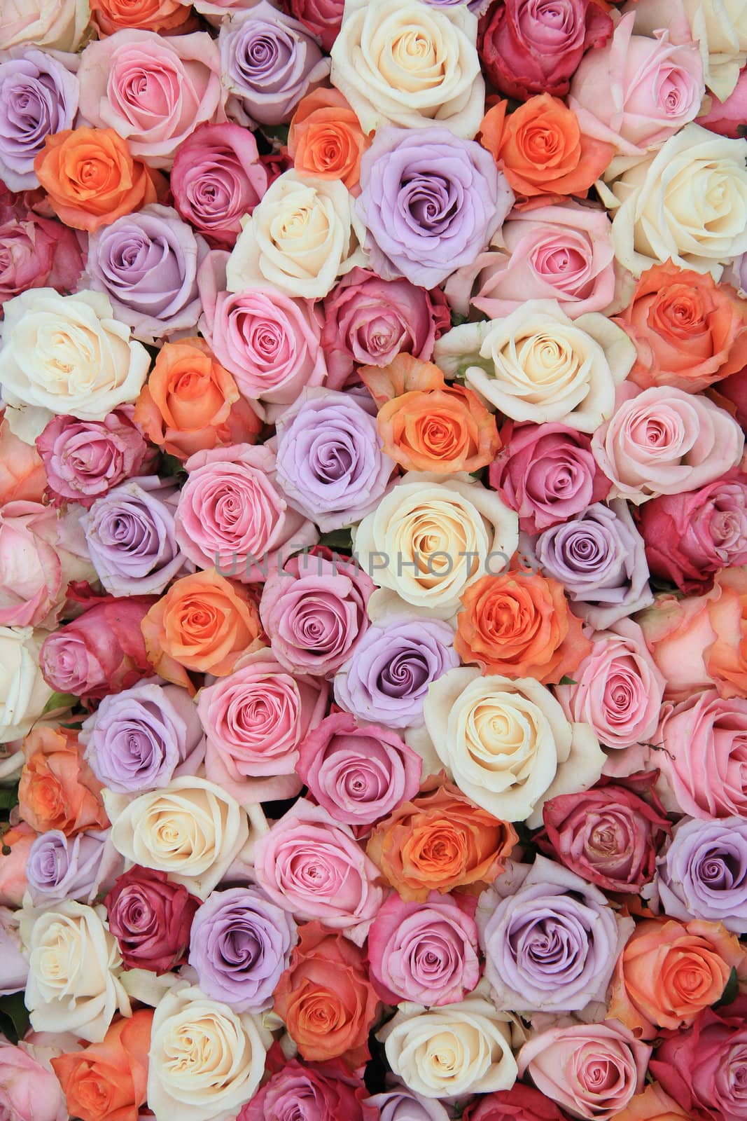 Pastel rose wedding flowers by studioportosabbia