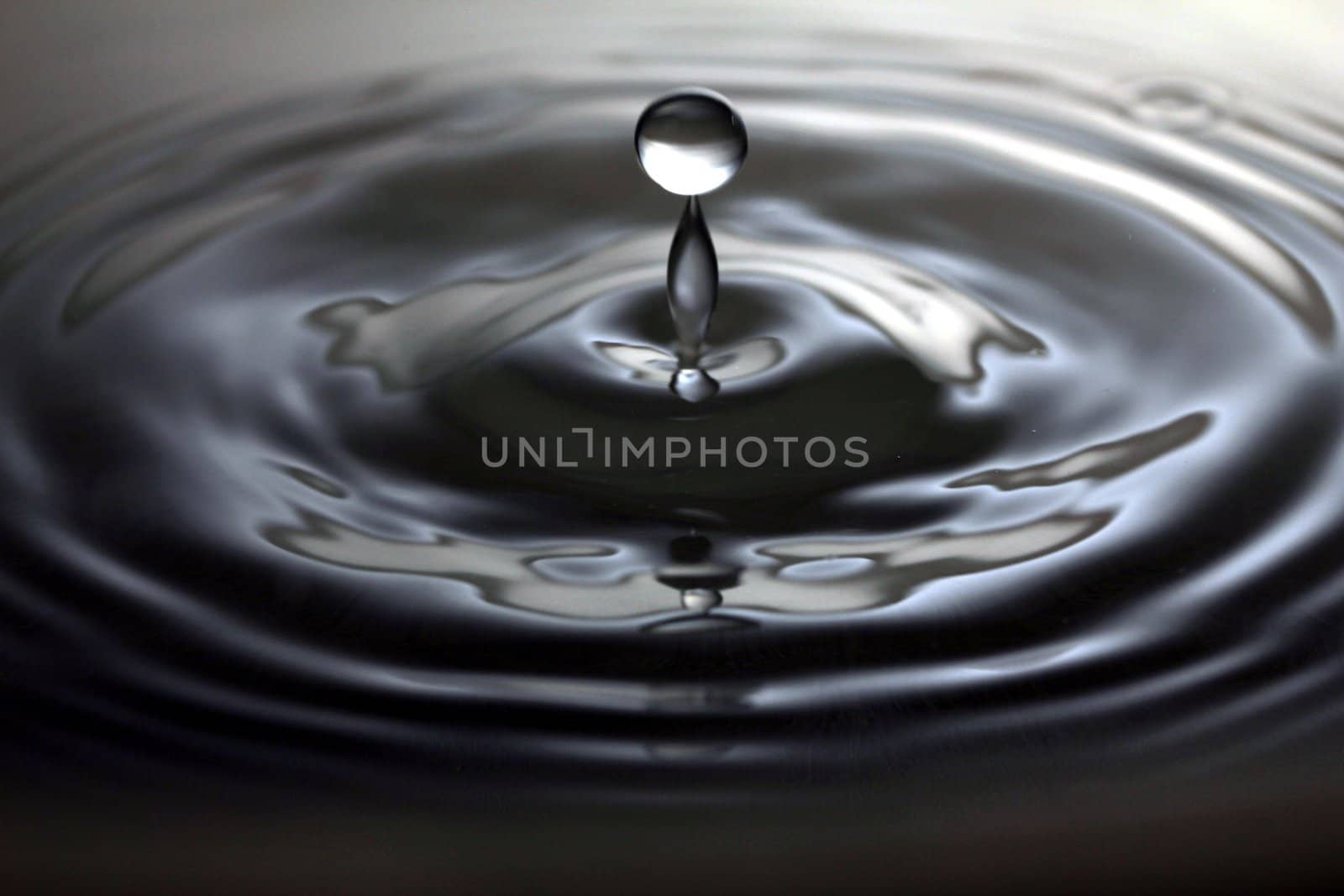 water drop macro shot