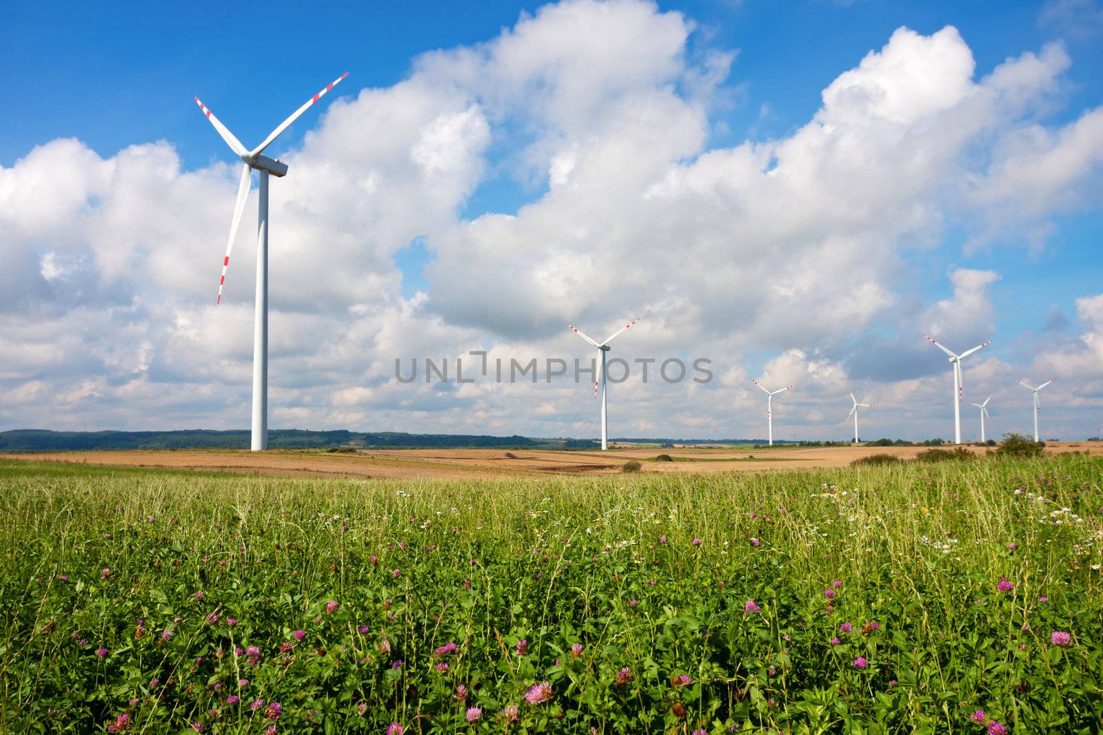 Windmill