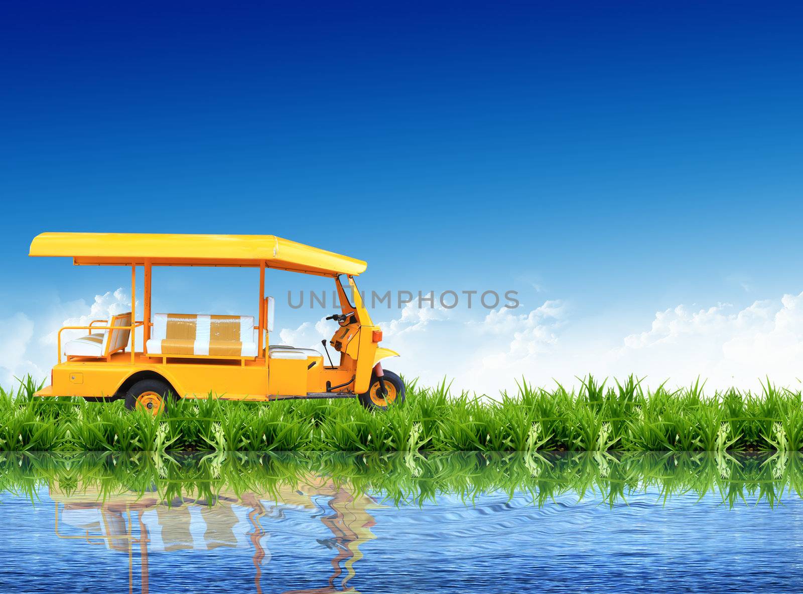 tuk tuk on the grass with the bright sky