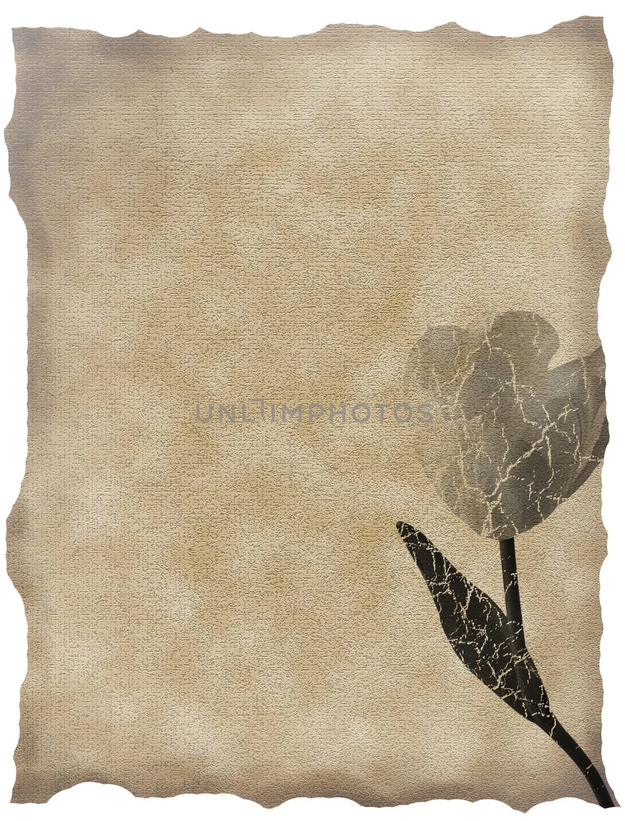 textured old paper background with tulips