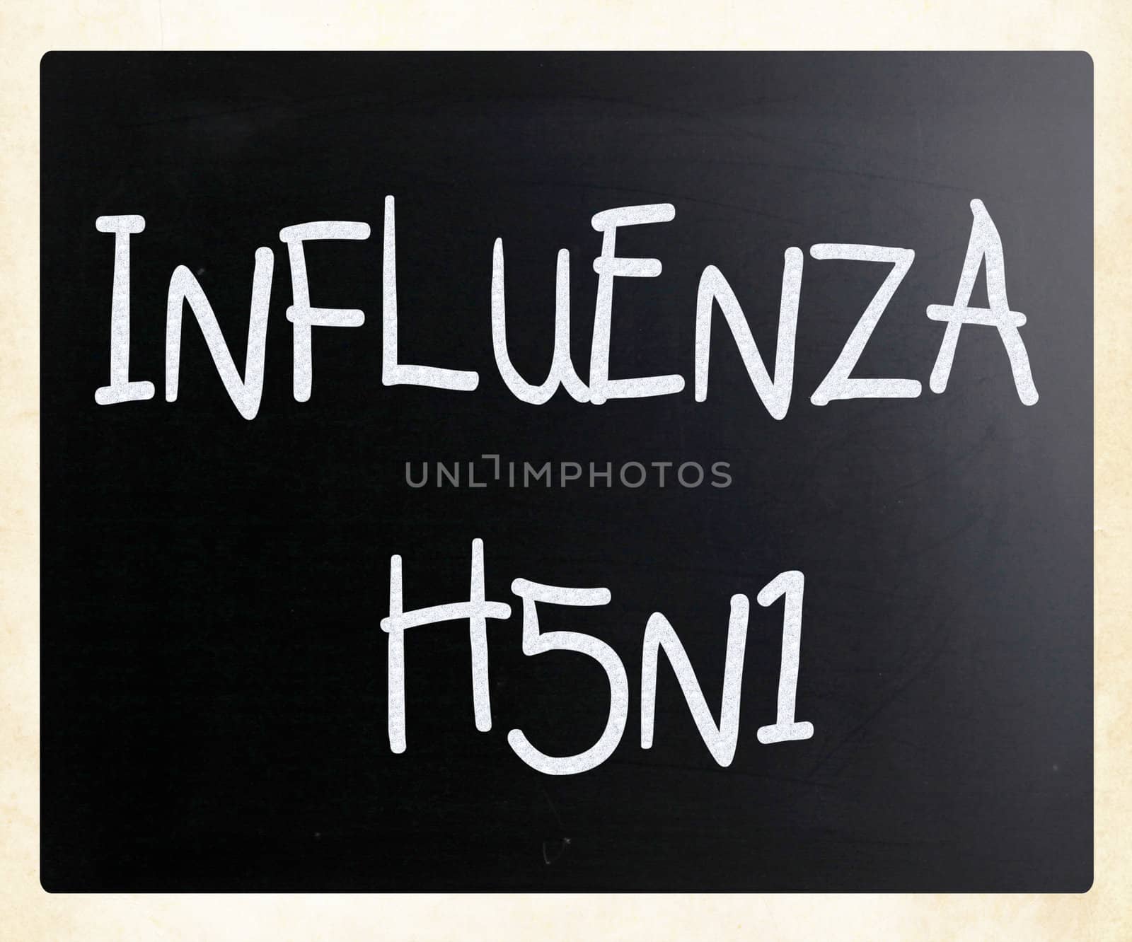 Images of the H5N1 Influenza Virus