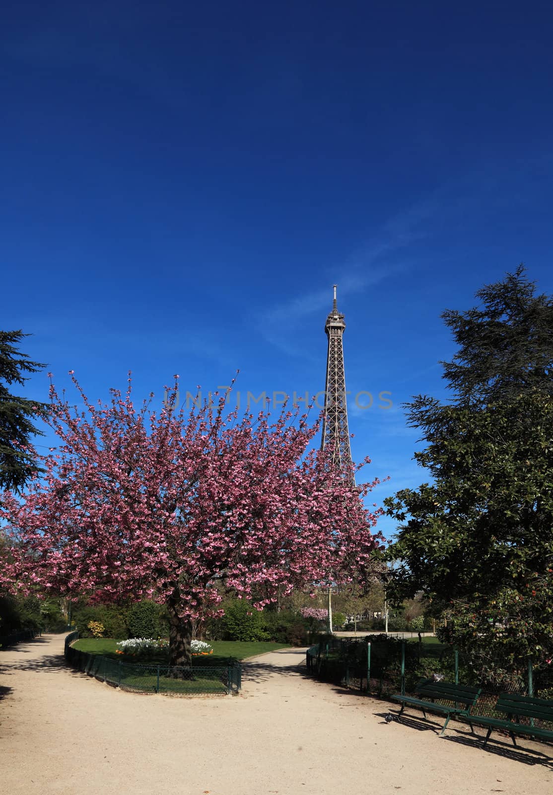 Image during the spring, of the Eiffel Tower from a beautiful park in the vicinity.