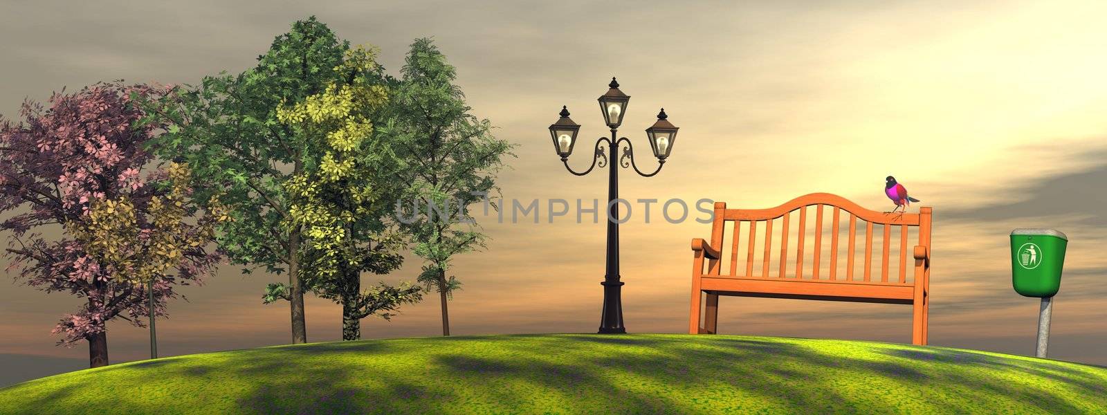 Colorful bird on a wood bench in a park with bin, lamp and trees by sunset