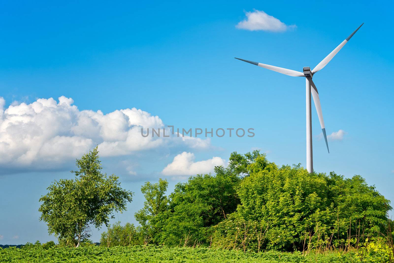 Summer landscape with wind turbine