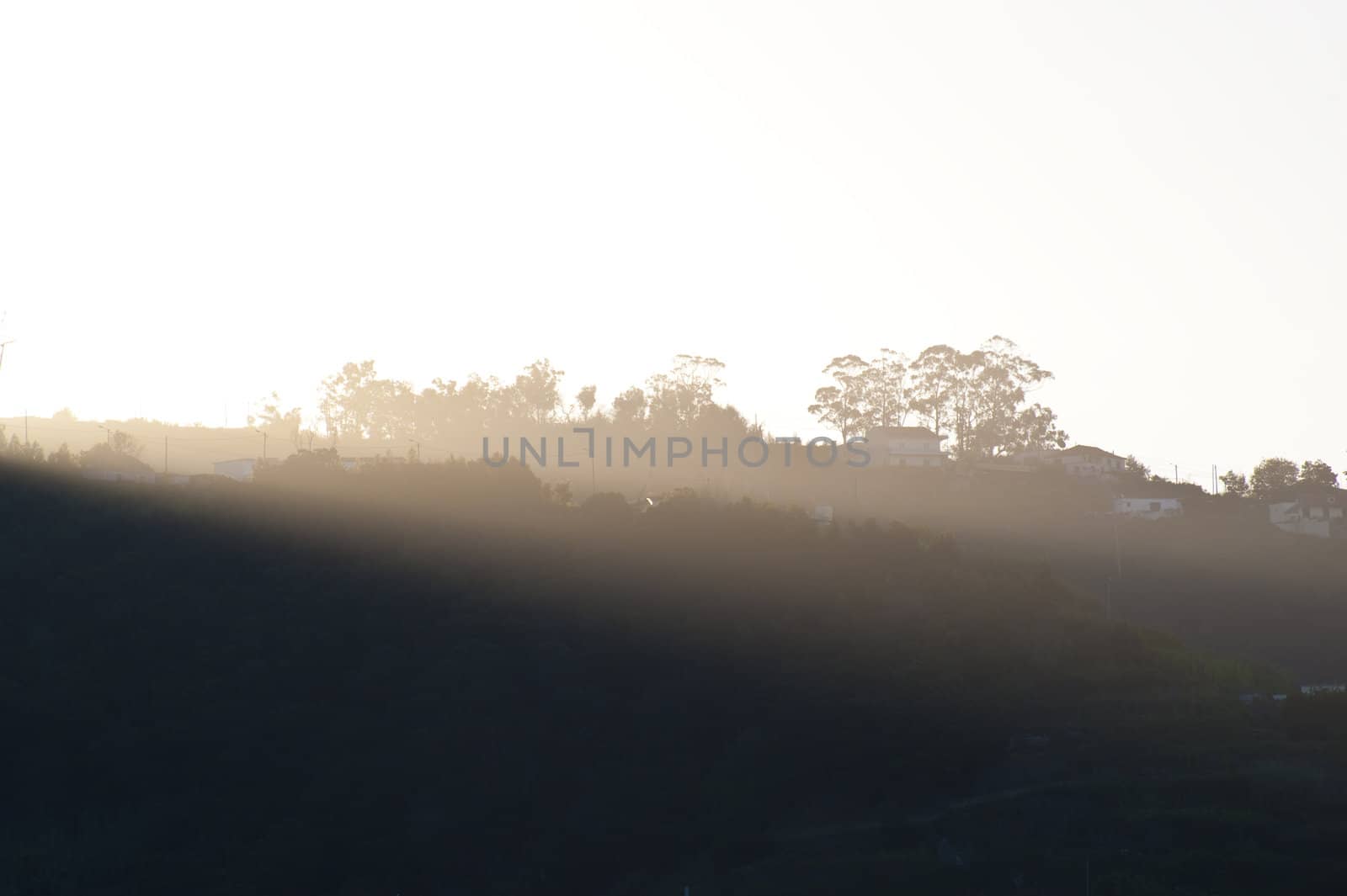 scene in portugal / island of madeira