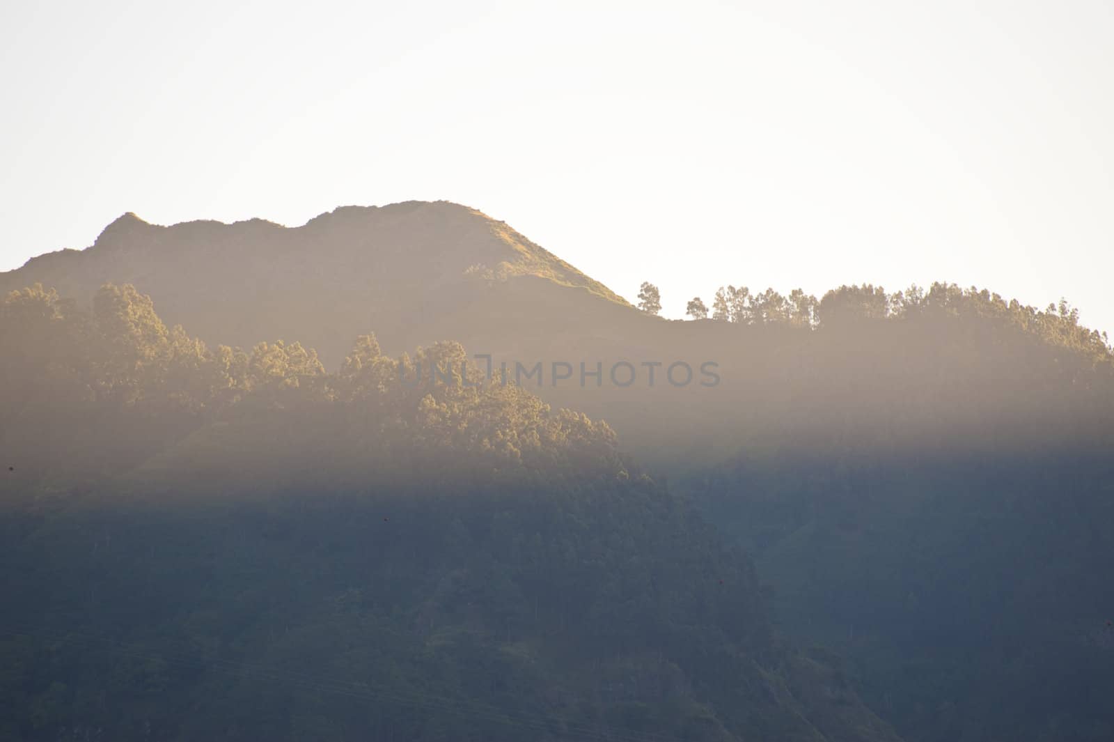 scene in portugal / island of madeira