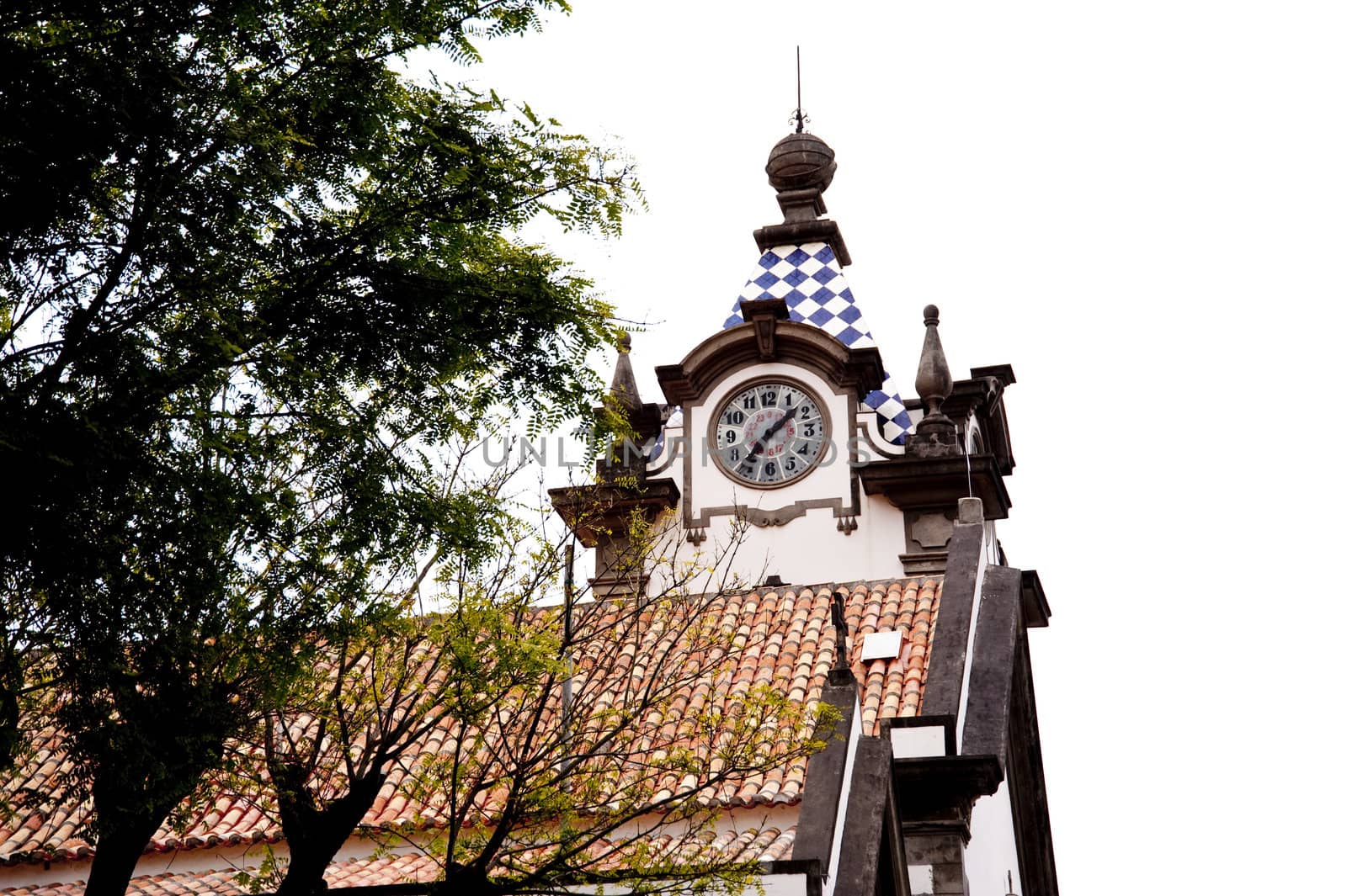 scene in portugal / island of madeira