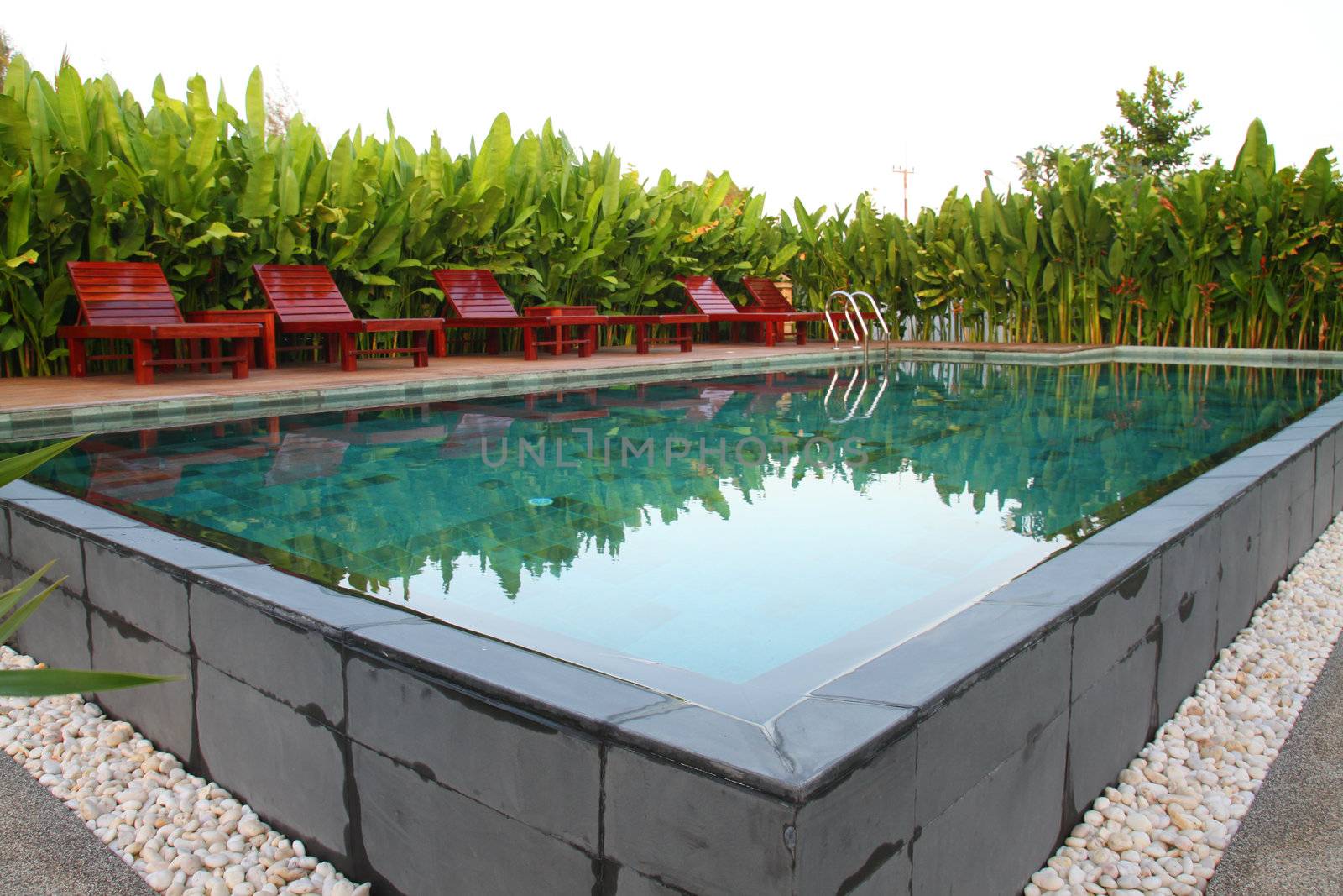 chair and swimming pool surrounded by  tropical plants