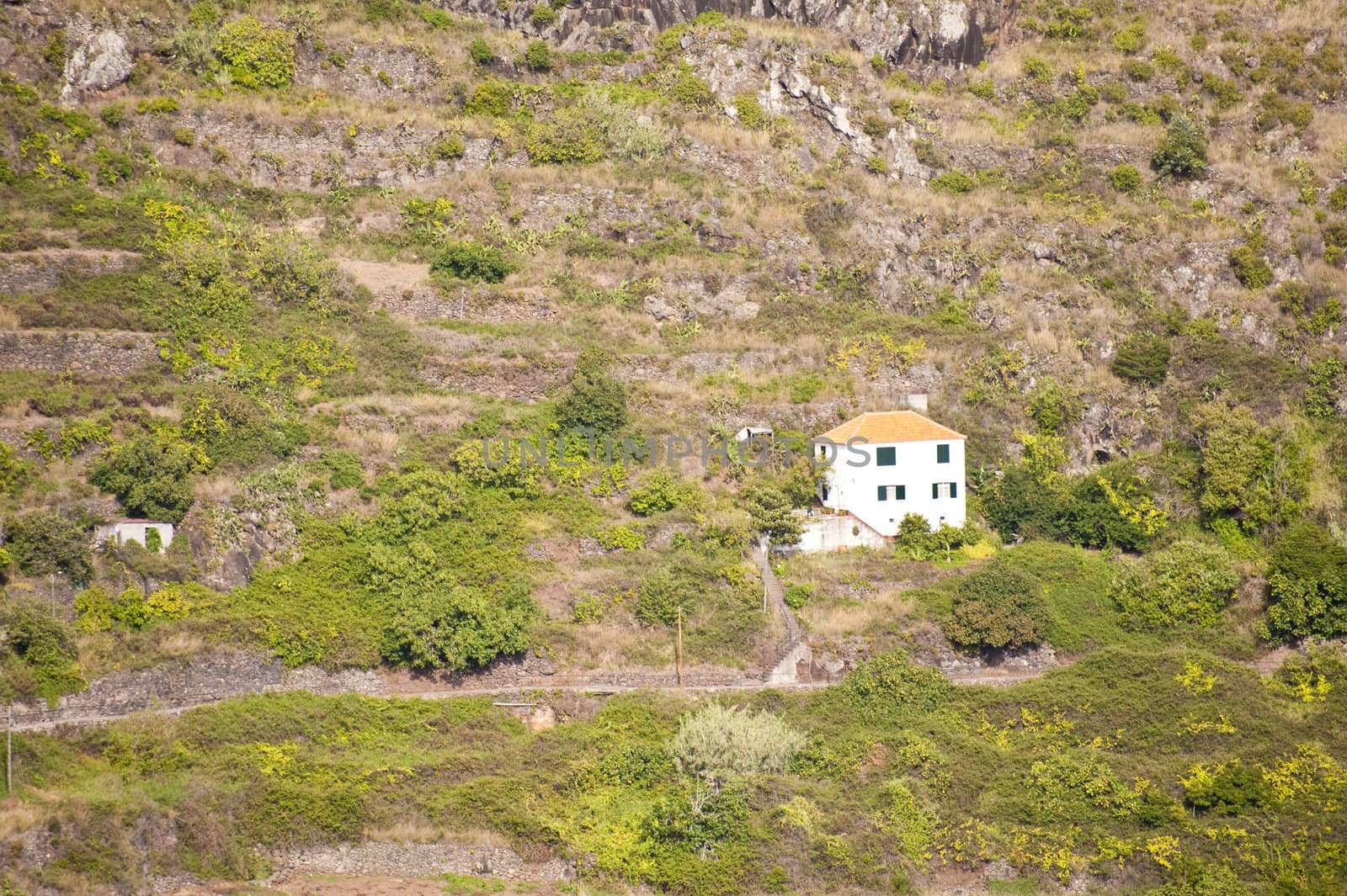 scene in portugal / island of madeira