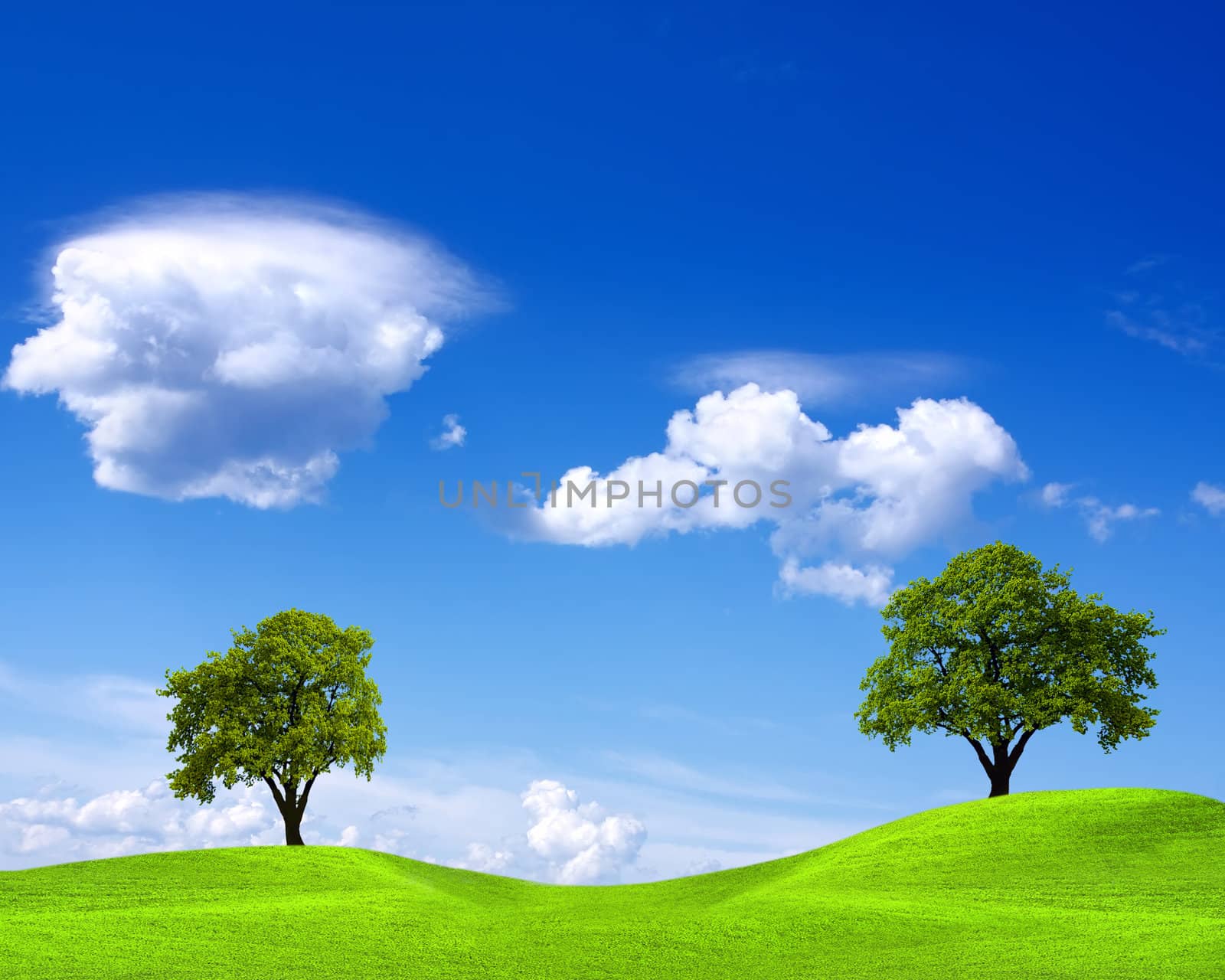 Spring landscape on blue sky