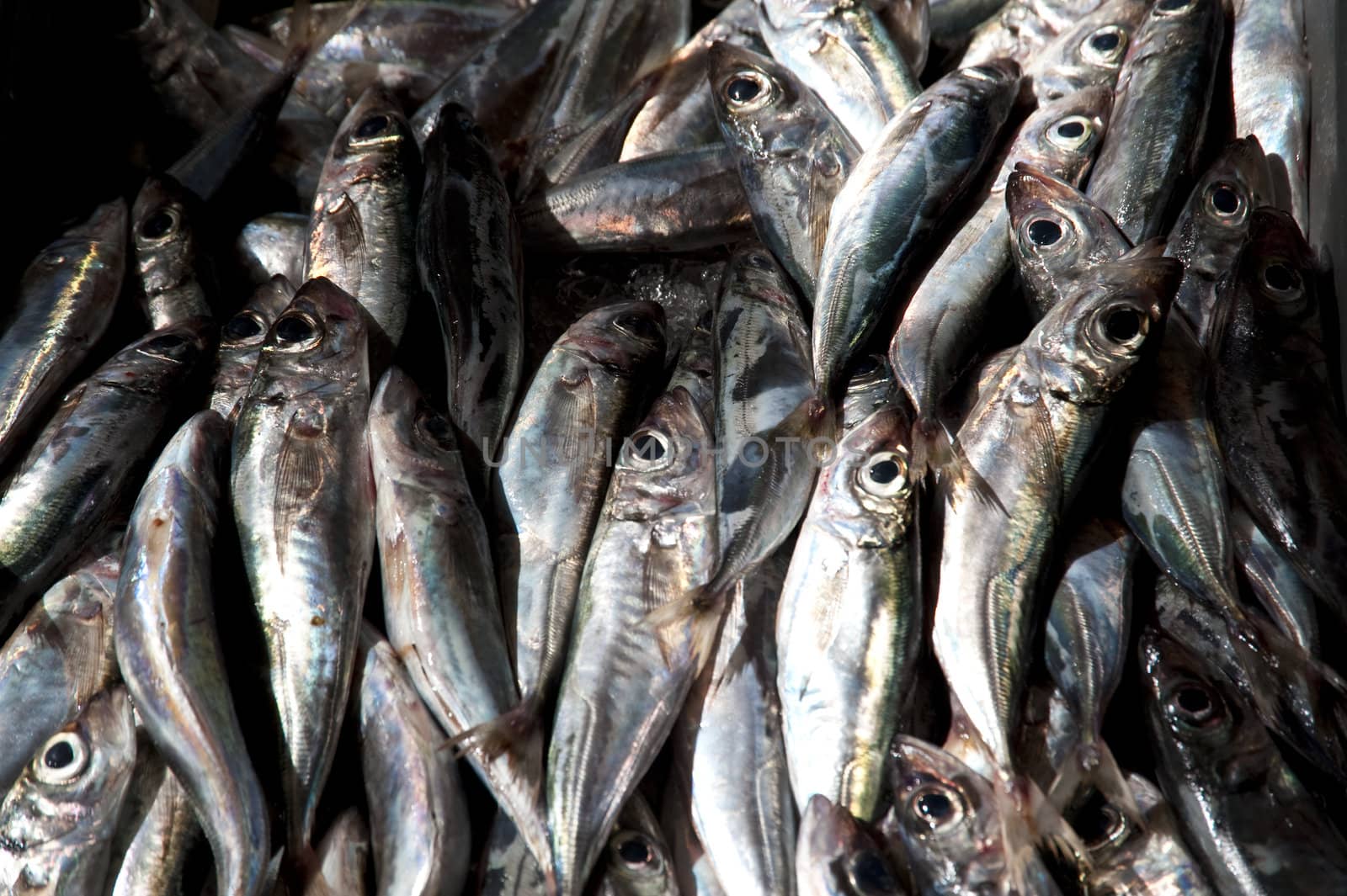 scene in portugal / island of madeira / funchal / mercado dos lavradores