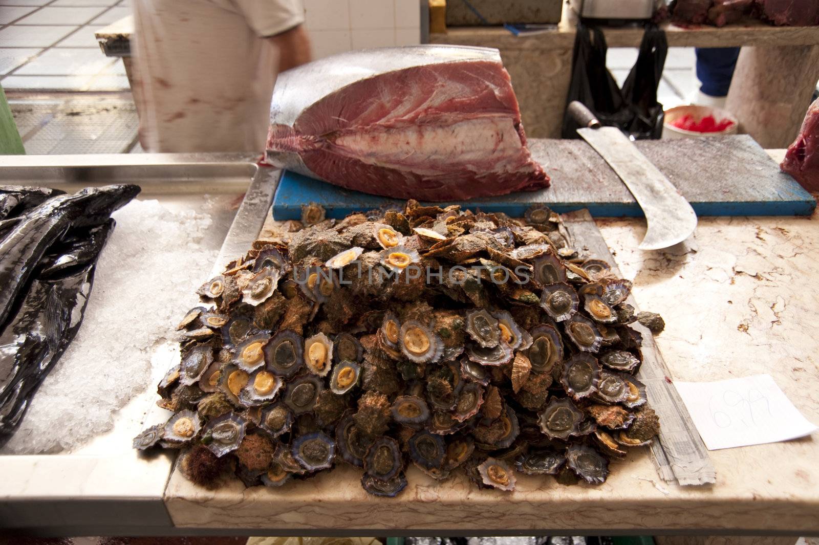 scene in portugal / island of madeira / funchal / mercado dos lavradores