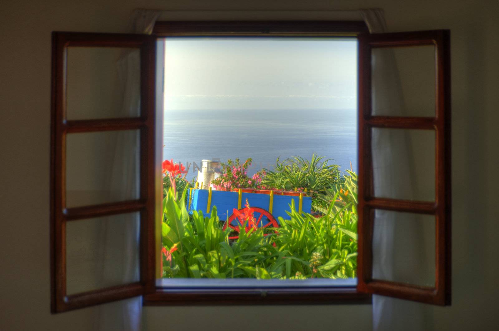 scene in portugal / island of madeira