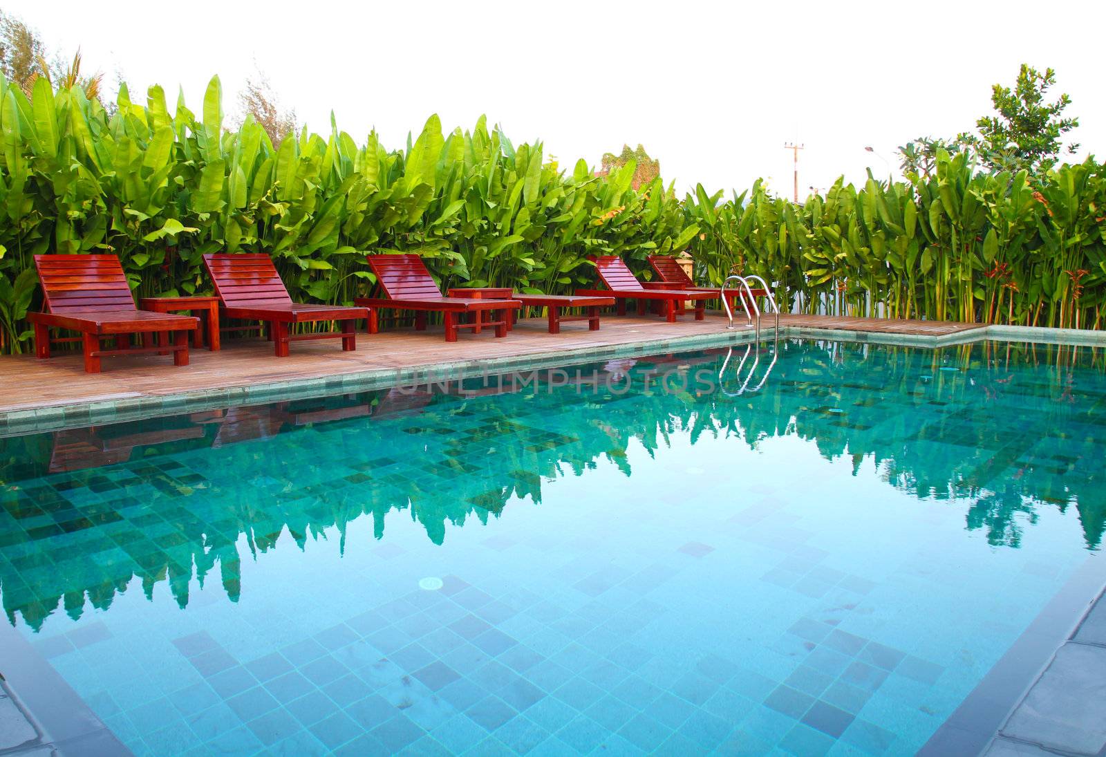 chair and swimming pool surrounded by  tropical plants