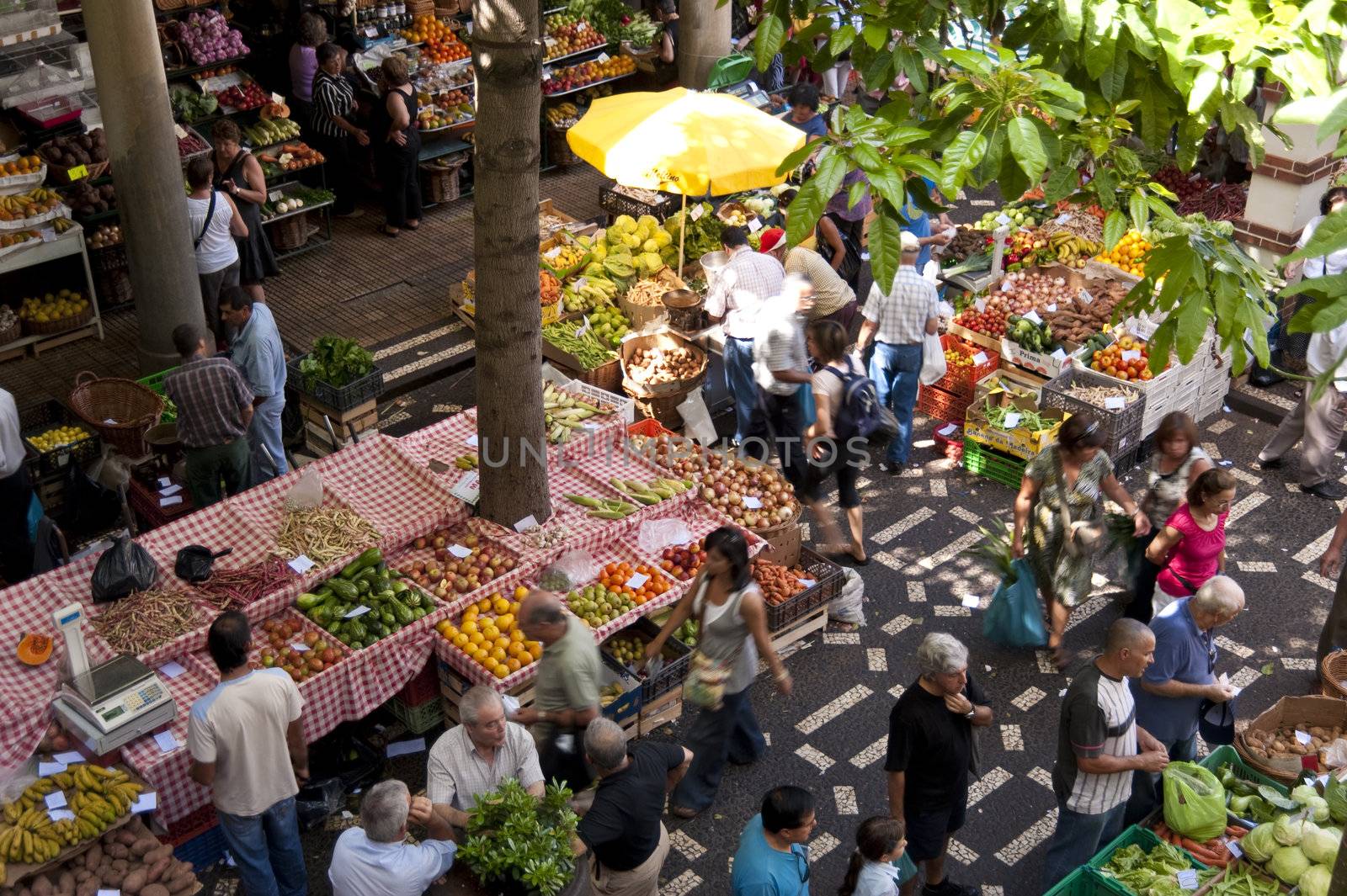 scene in portugal / island of madeira / funchal / mercado dos lavradores
