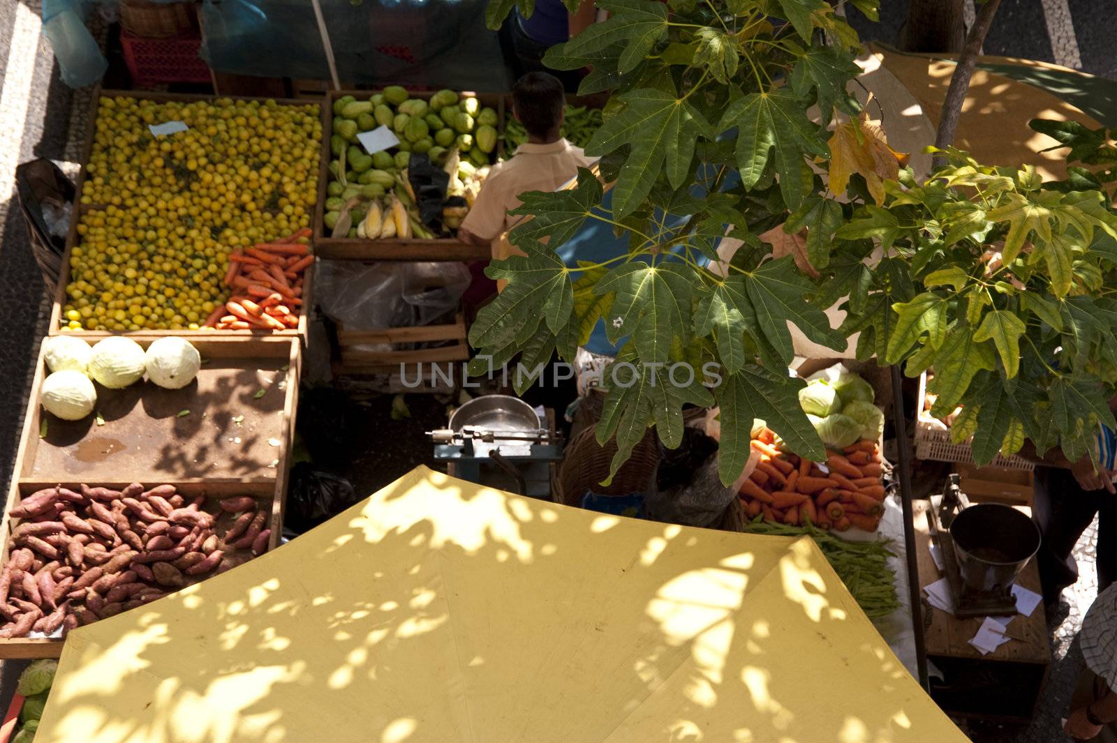 scene in portugal / island of madeira / funchal / mercado dos lavradores