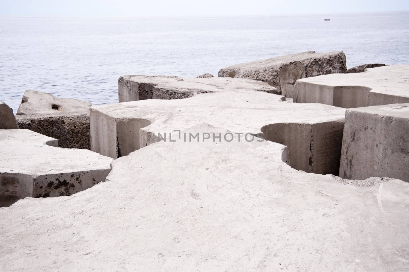scene in portugal / island of madeira