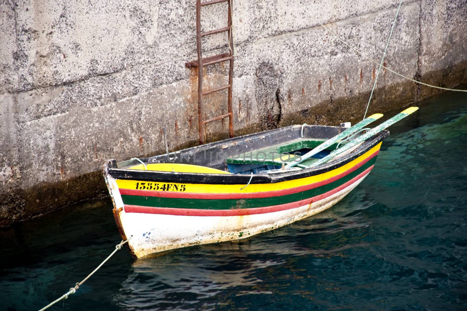 scene in portugal / island of madeira