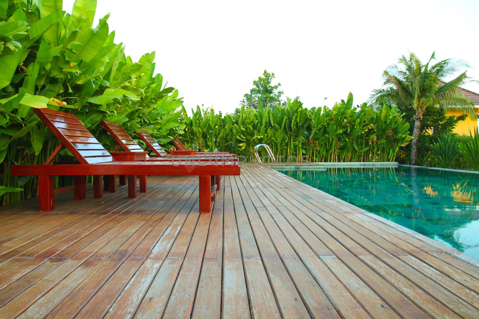 chair and swimming pool surrounded by  tropical plants