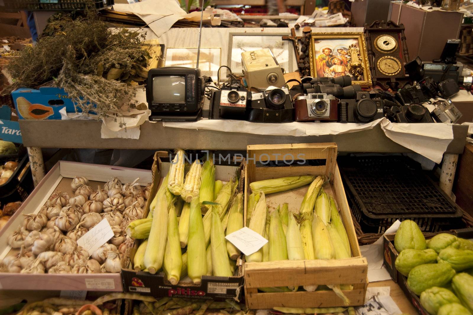 scene in portugal / island of madeira / funchal / mercado dos lavradores
