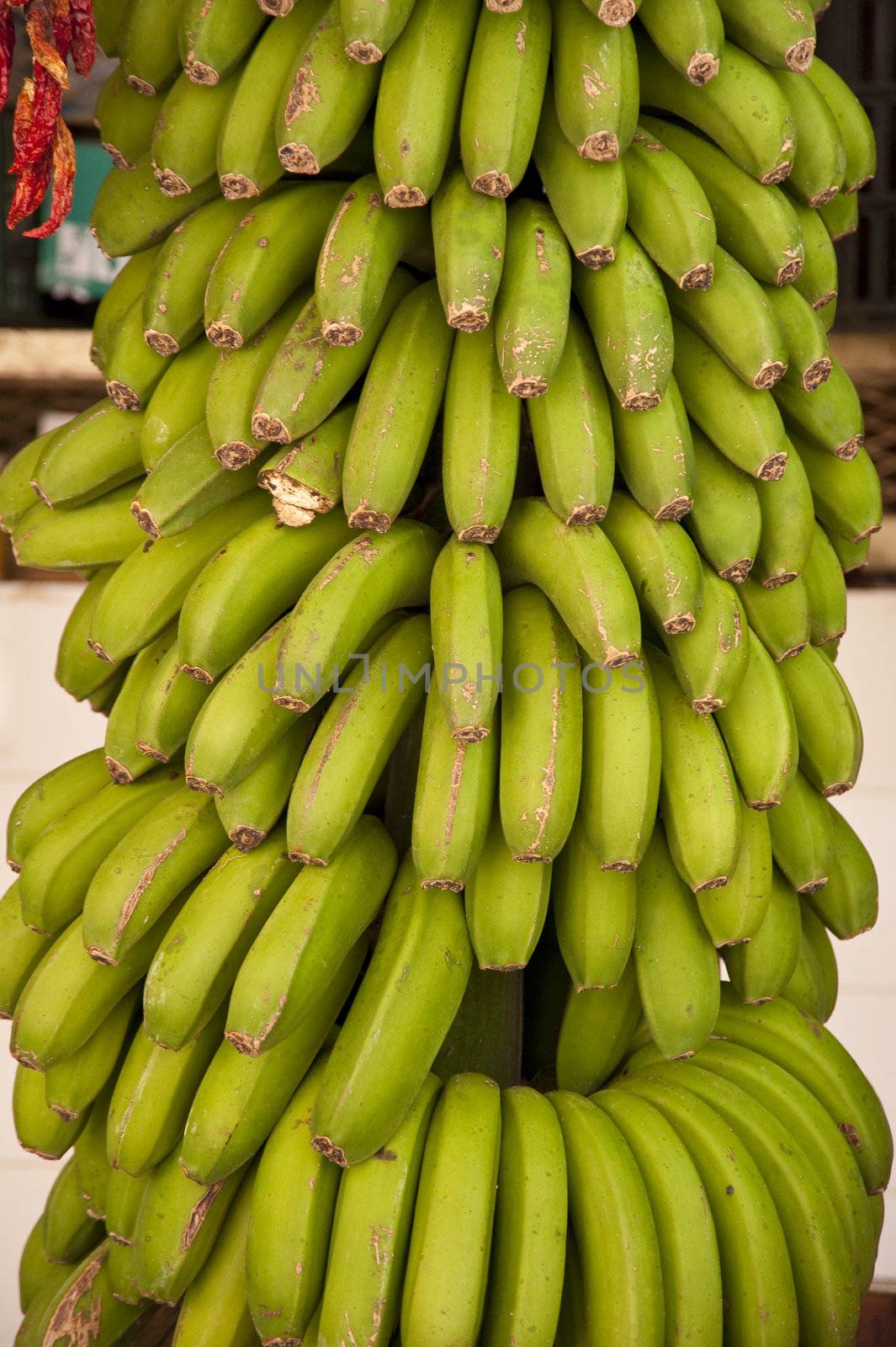 scene in portugal / island of madeira / funchal / mercado dos lavradores