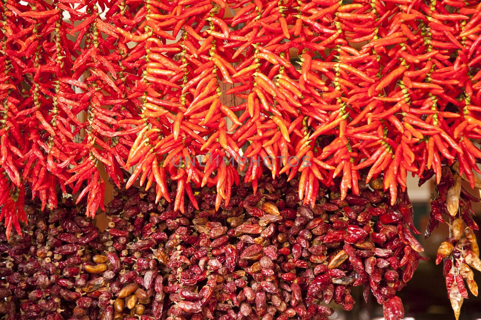 scene in portugal / island of madeira / funchal / mercado dos lavradores