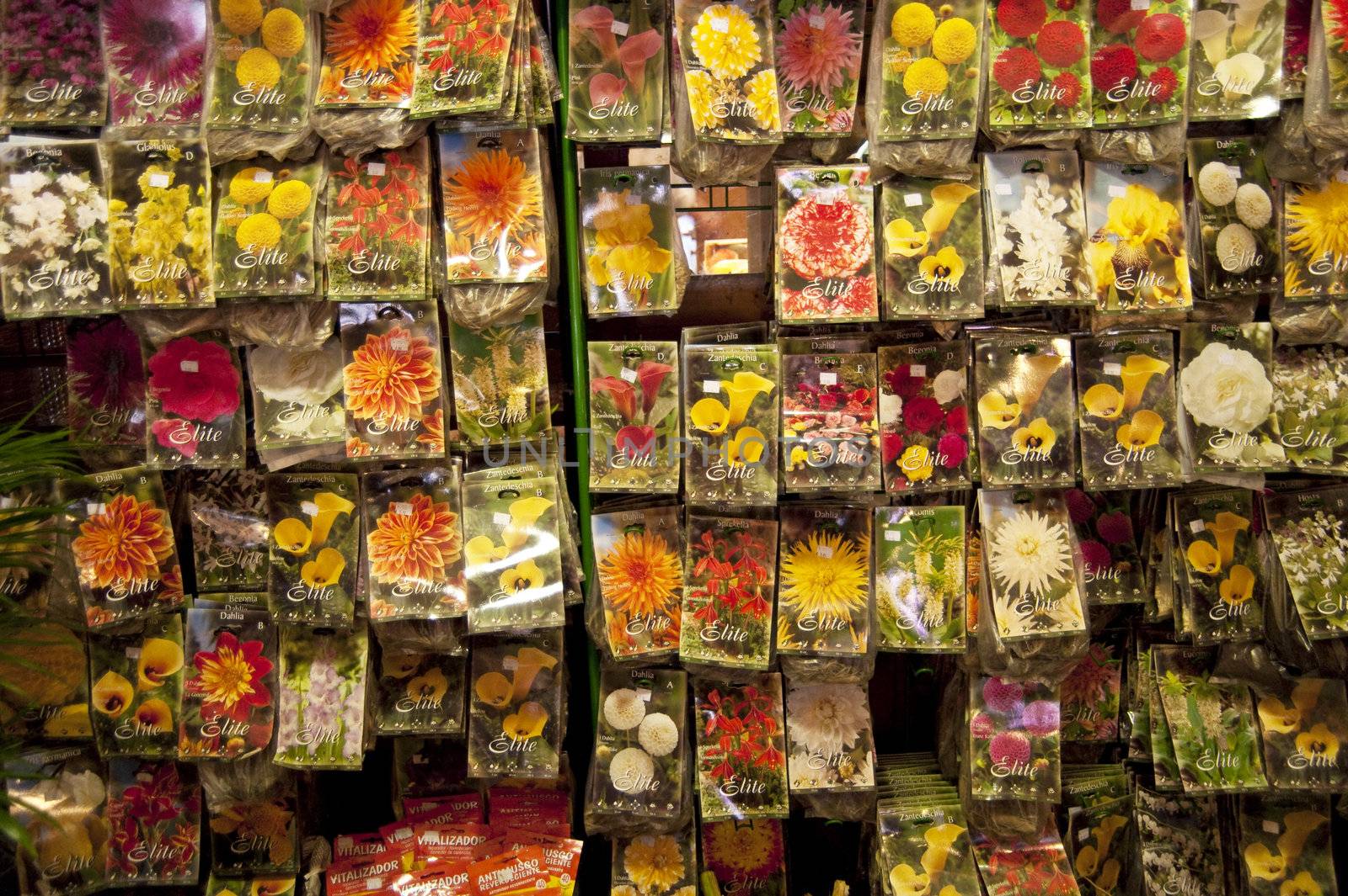 scene in portugal / island of madeira / funchal / mercado dos lavradores