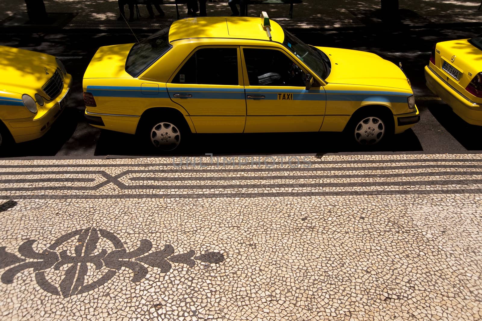 scene in portugal / island of madeira
