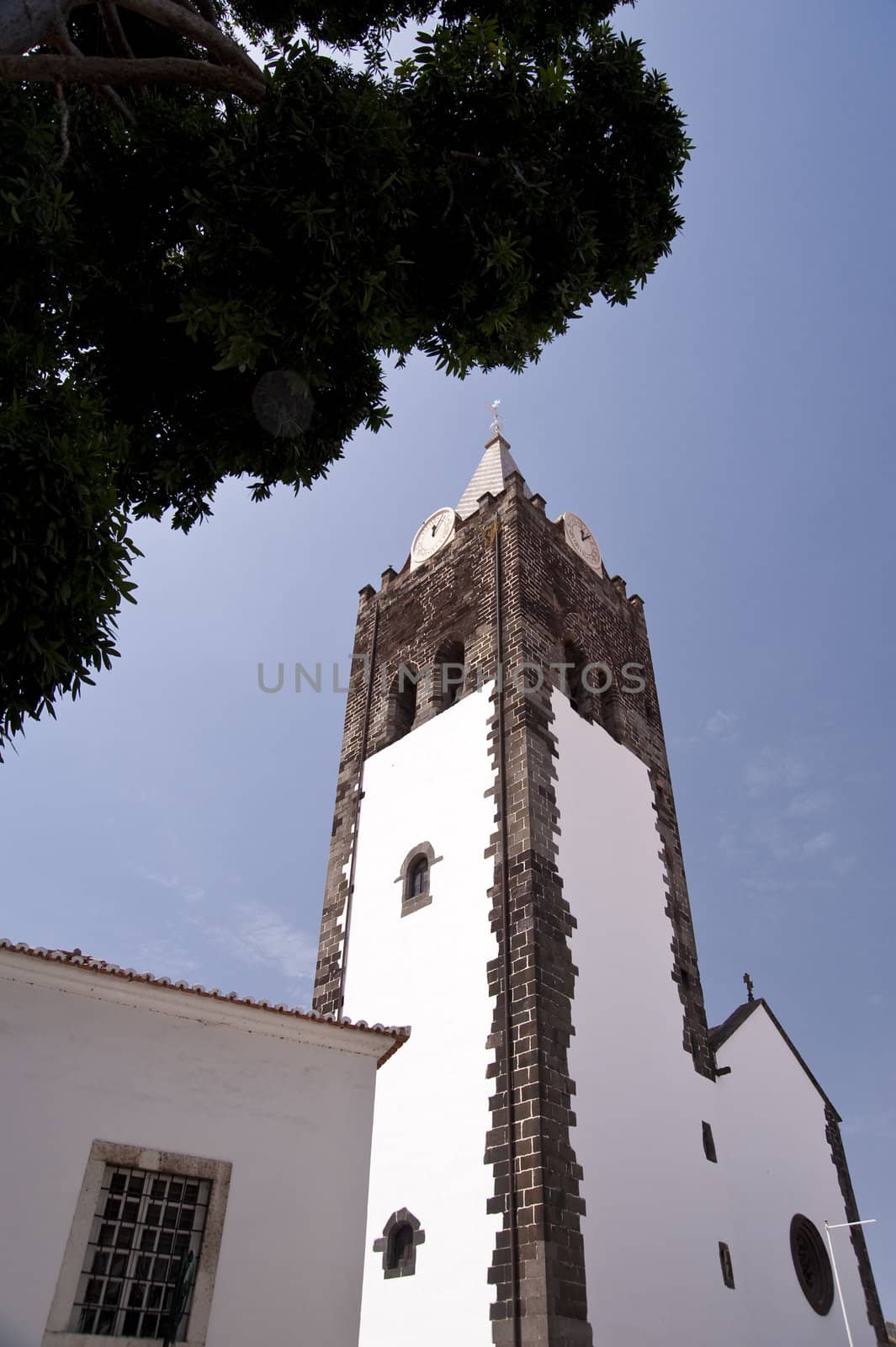 scene in portugal / island of madeira
