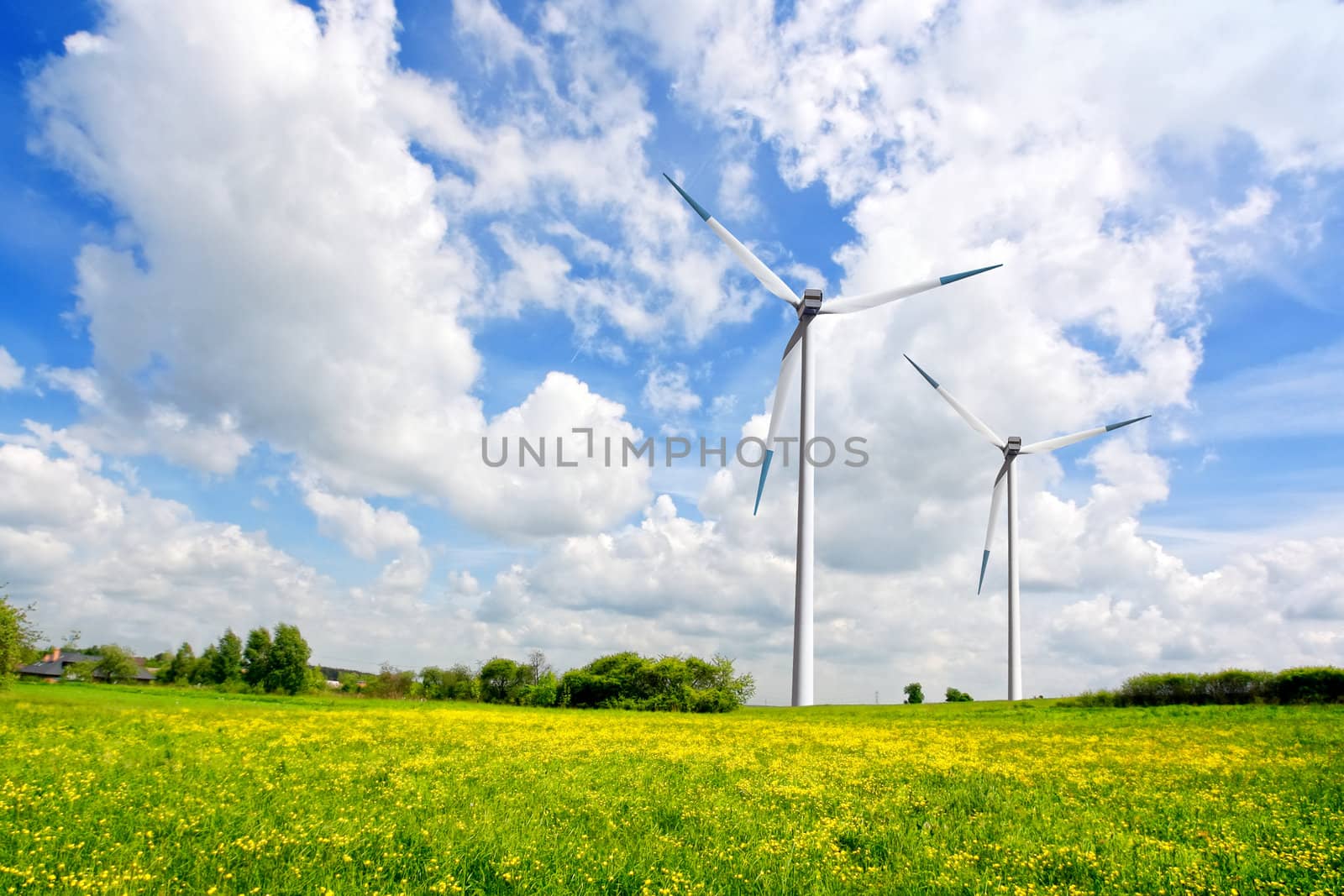 Windmill with fresh green grass and blue sky in spring