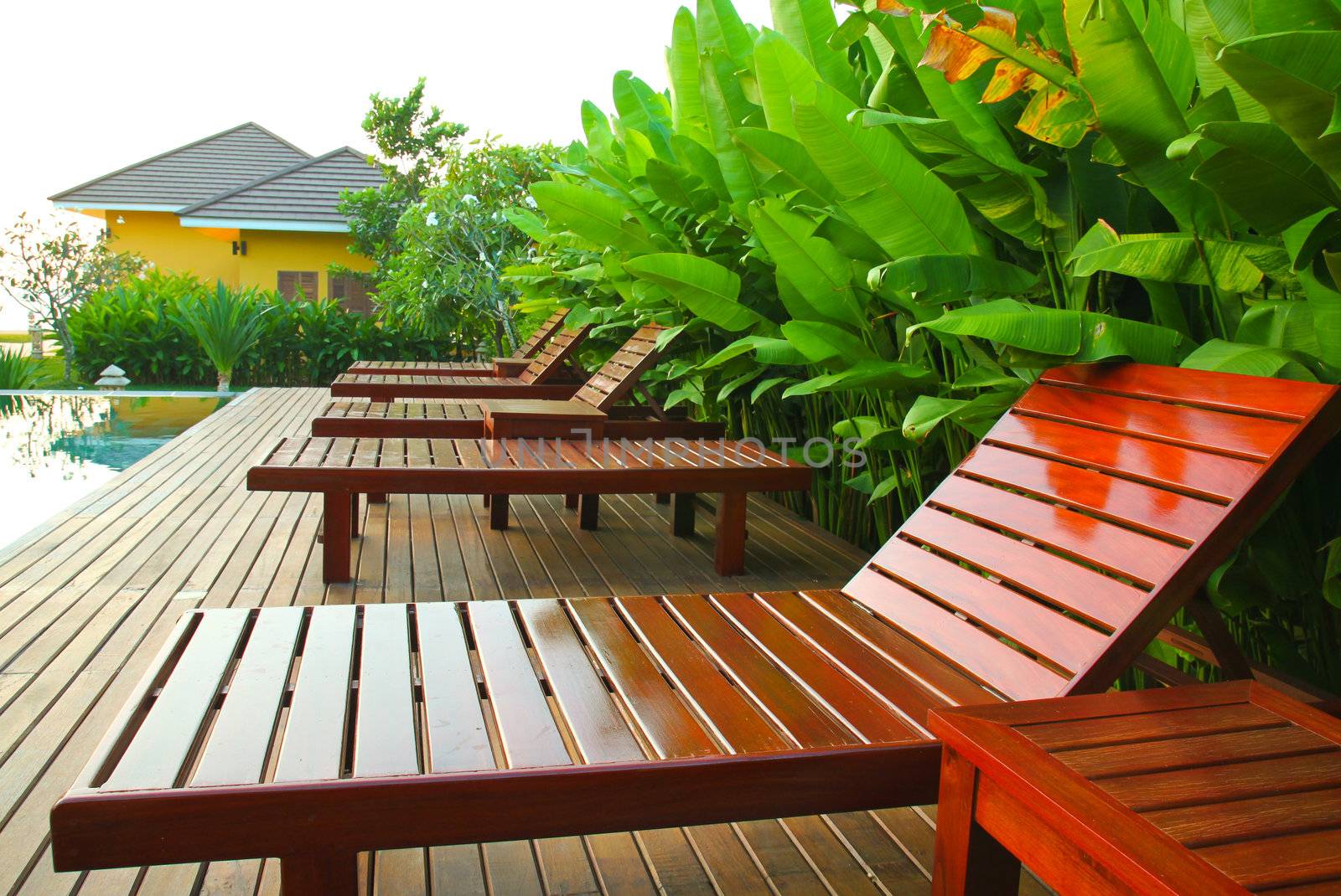 chair and swimming pool surrounded by  tropical plants