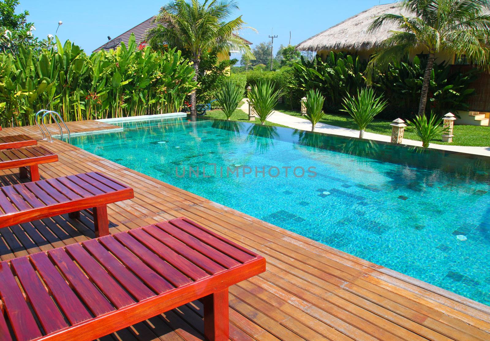 chair and swimming pool surrounded by  tropical plants