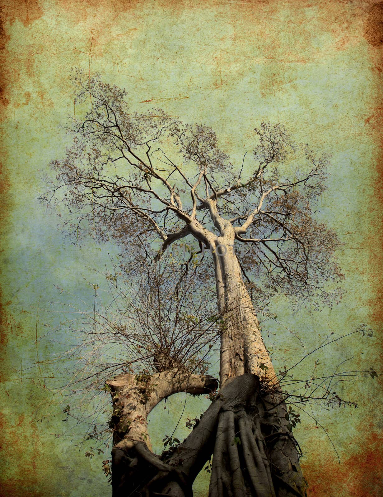 Grunge image of dried tree by nuchylee