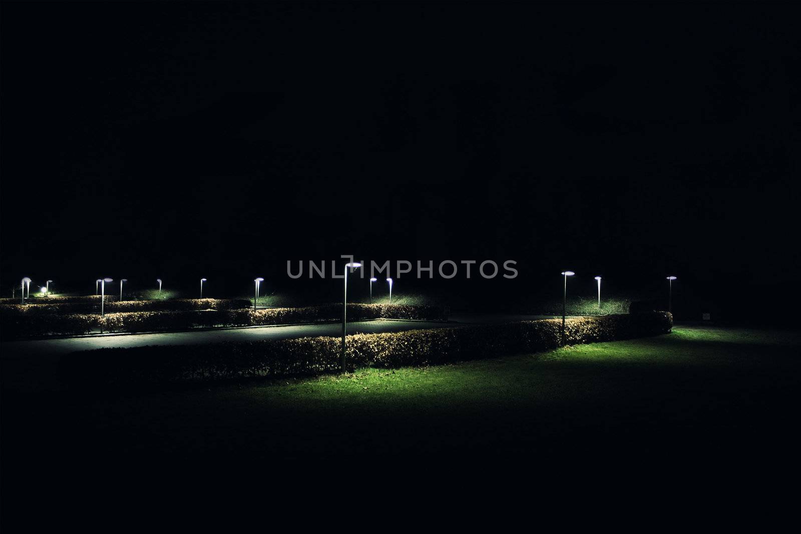 Very nice execution of a photographer, quiet, romantic night in a park in Berlin