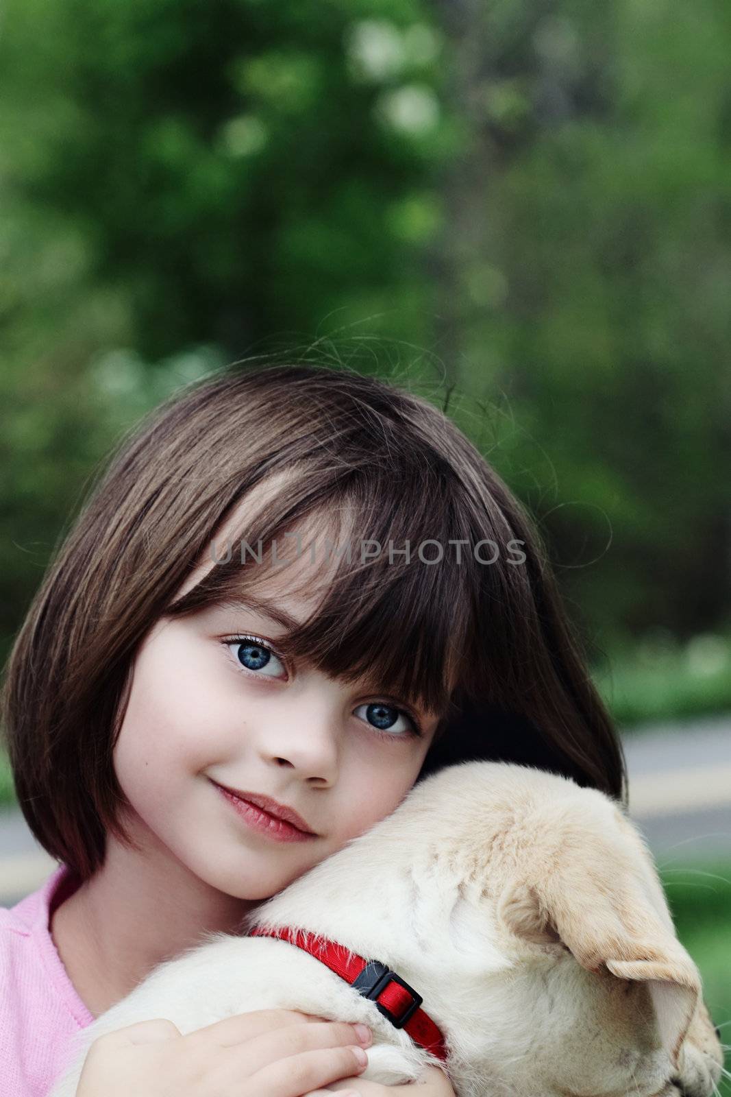 Little girl holding her puppy, an English Cream Labrador Golden retriever mix.
