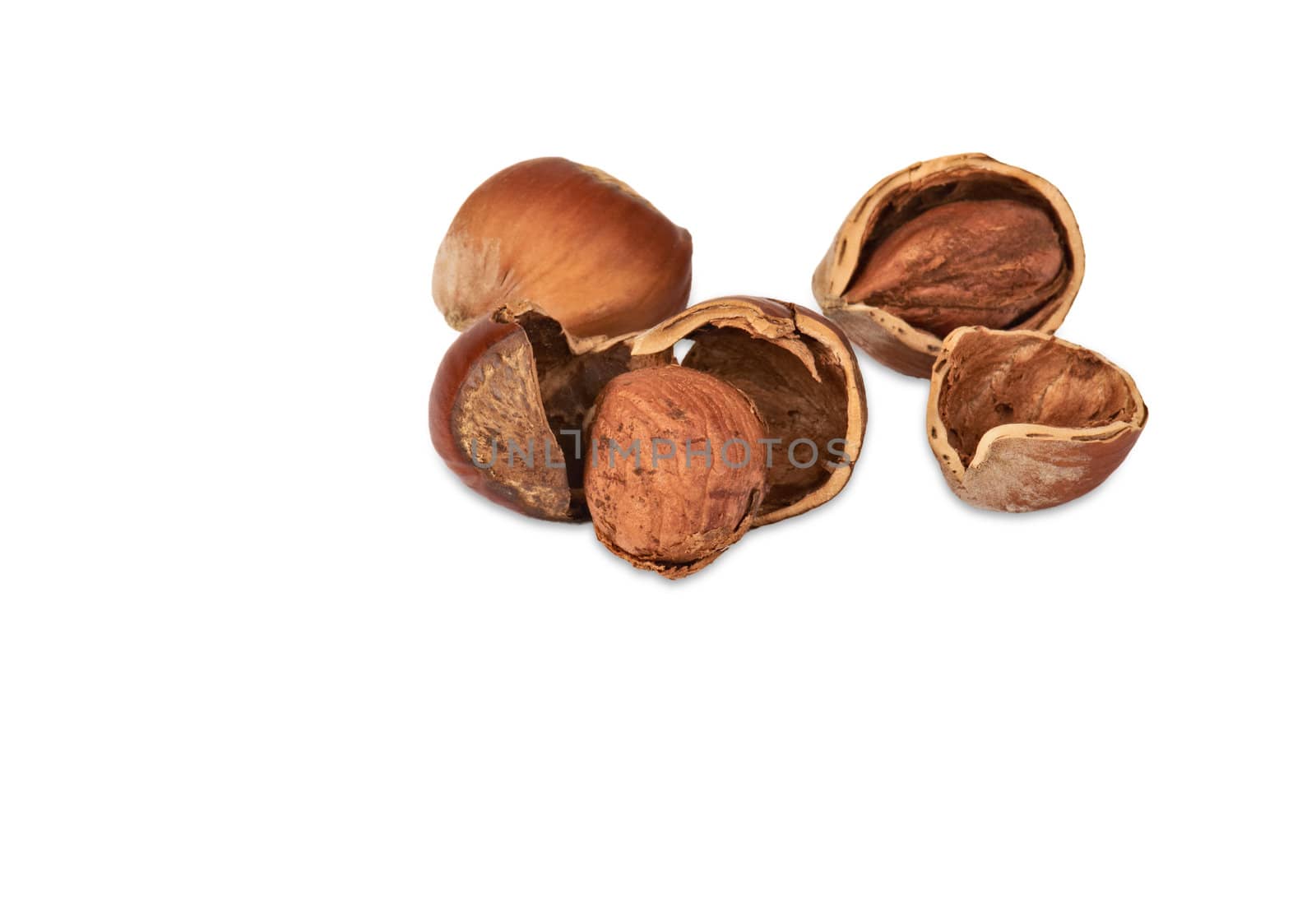 Three nuts a filbert and two kernels of a nutlet in a shell isolated on a white background. 