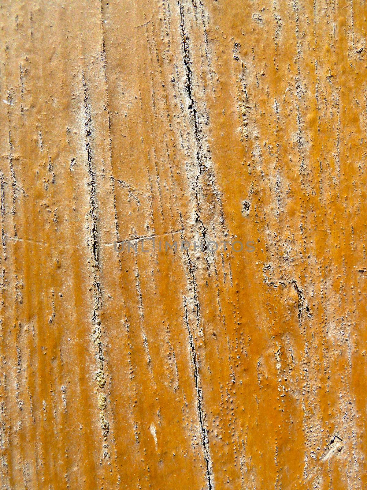 closeup on a section of old weathered wood